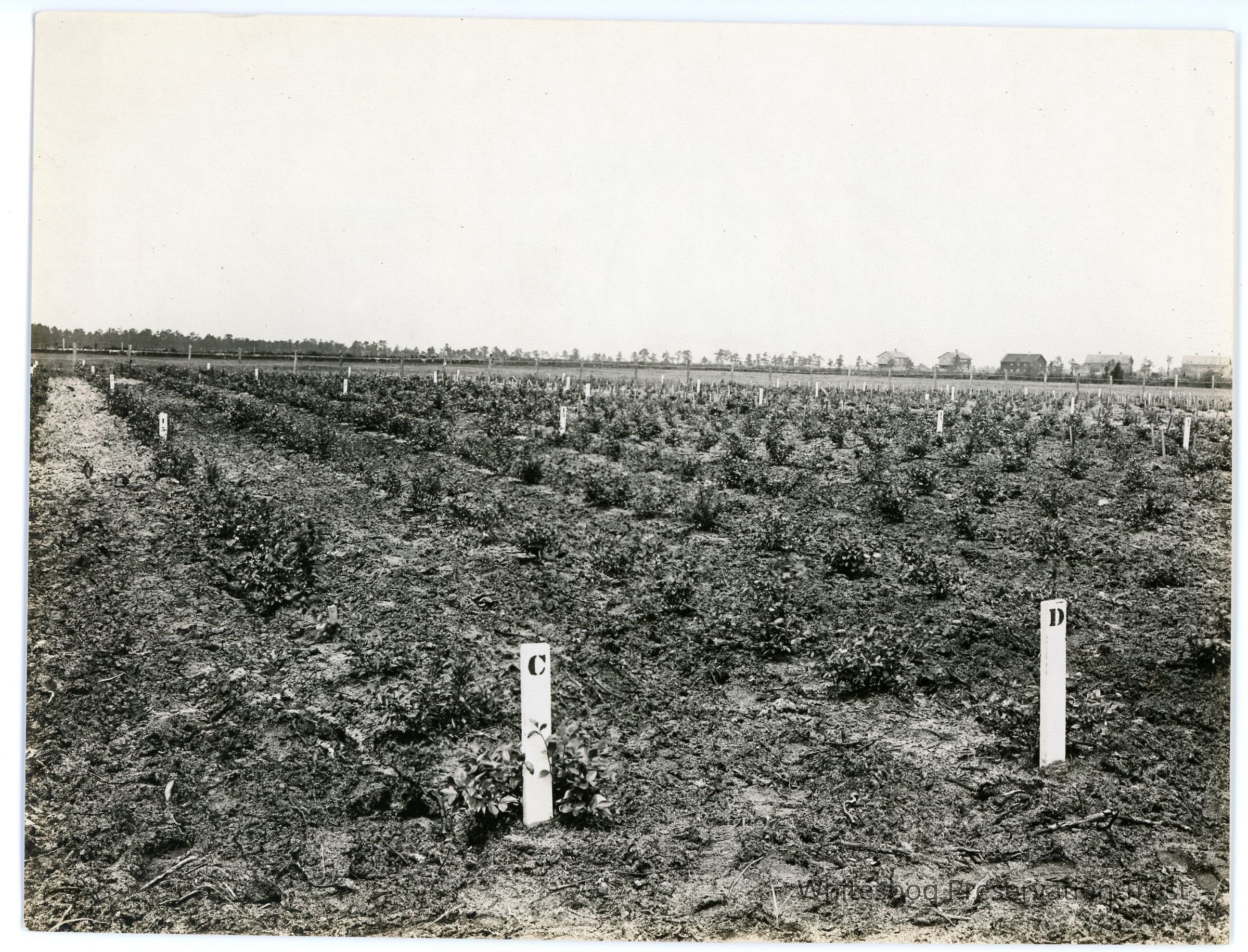          5/13/1915 