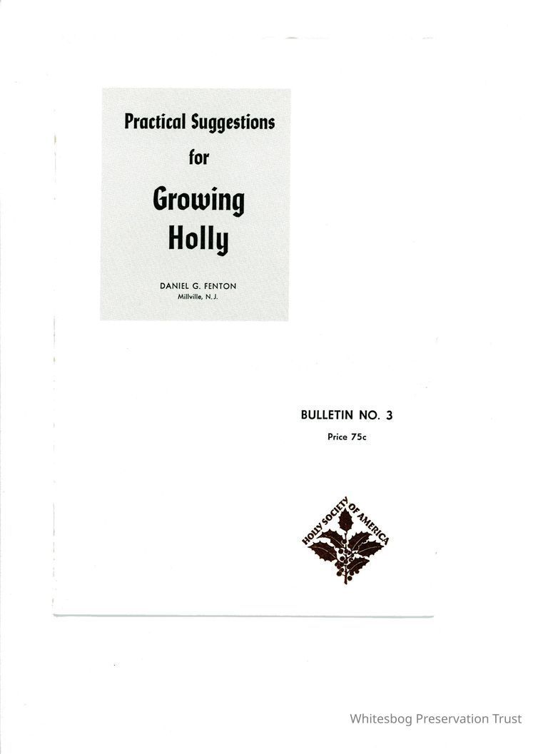          Practical Suggestions for Growing Holly picture number 1
   