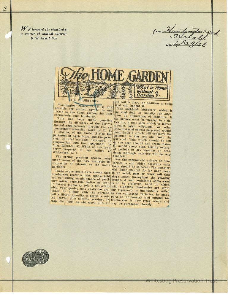          Newspaper Clipping picture number 1
   