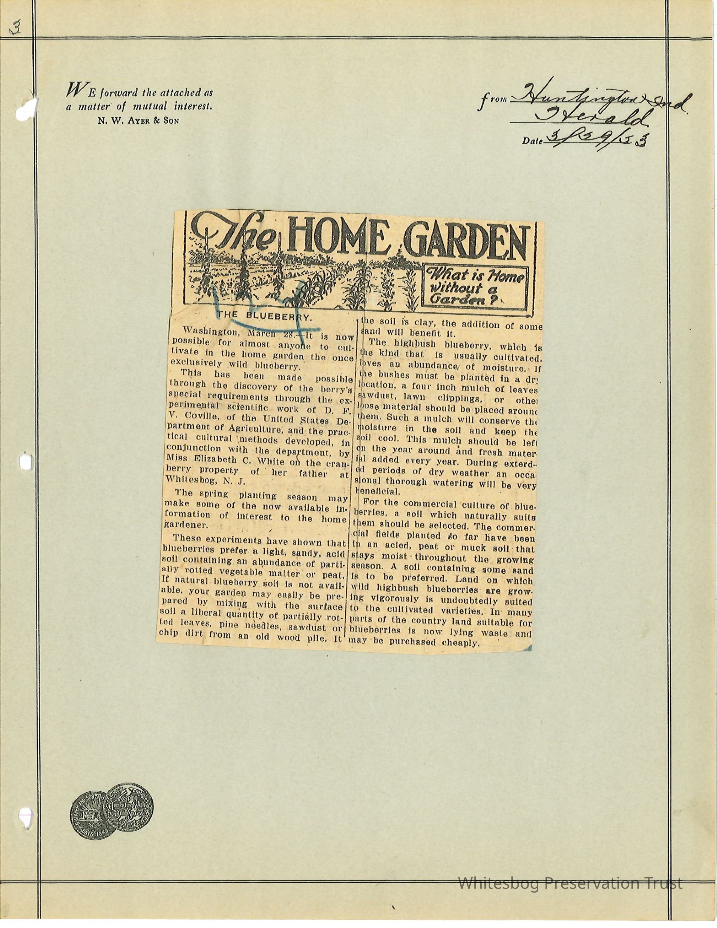          Newspaper Clipping picture number 1
   