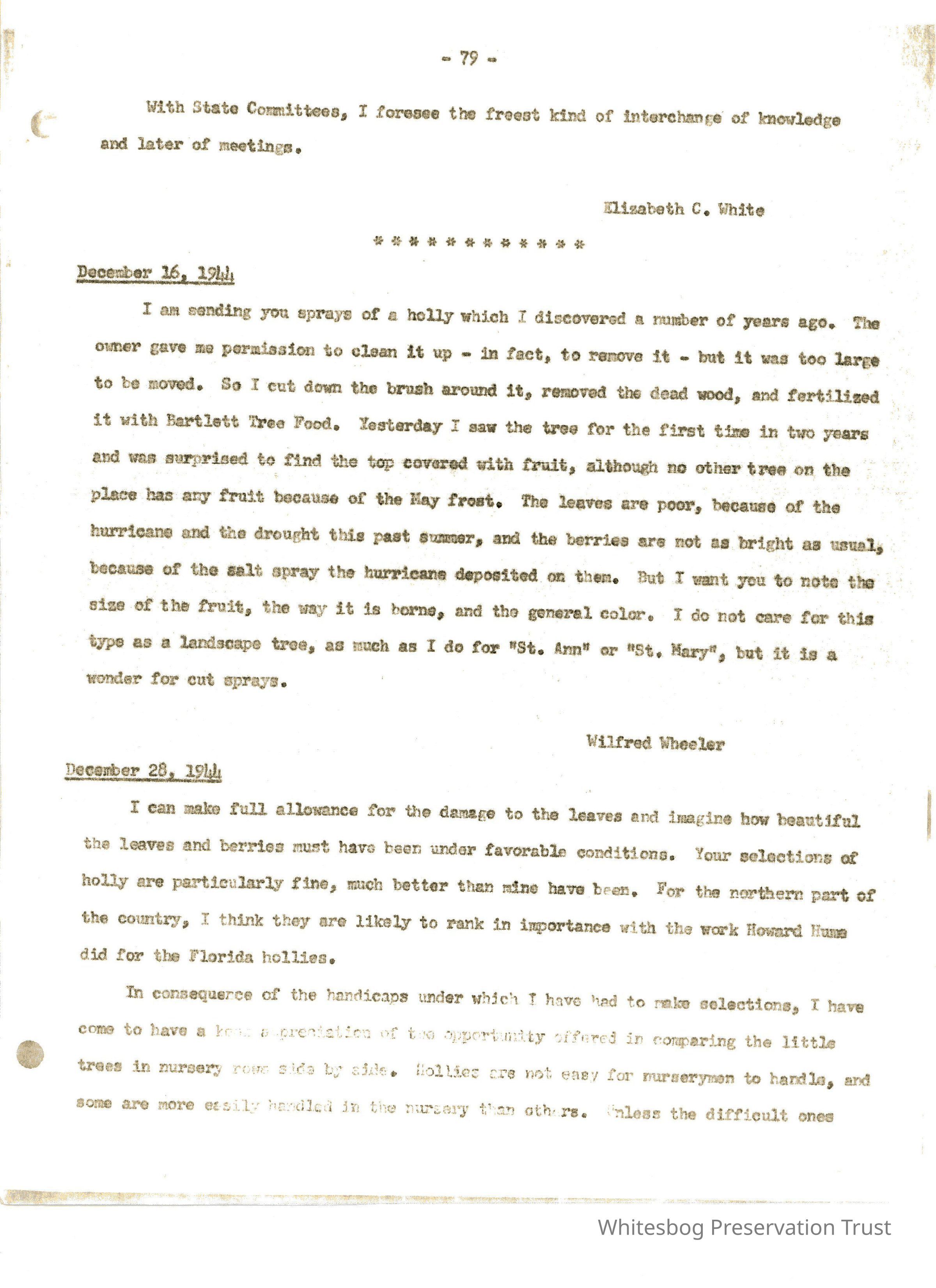 Letters Between Elizabeth White and Wilfrid Wheeler picture number 1