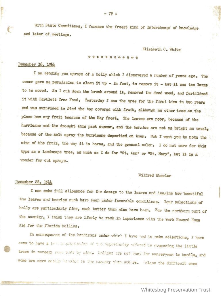          Letters Between Elizabeth White and Wilfrid Wheeler picture number 1
   