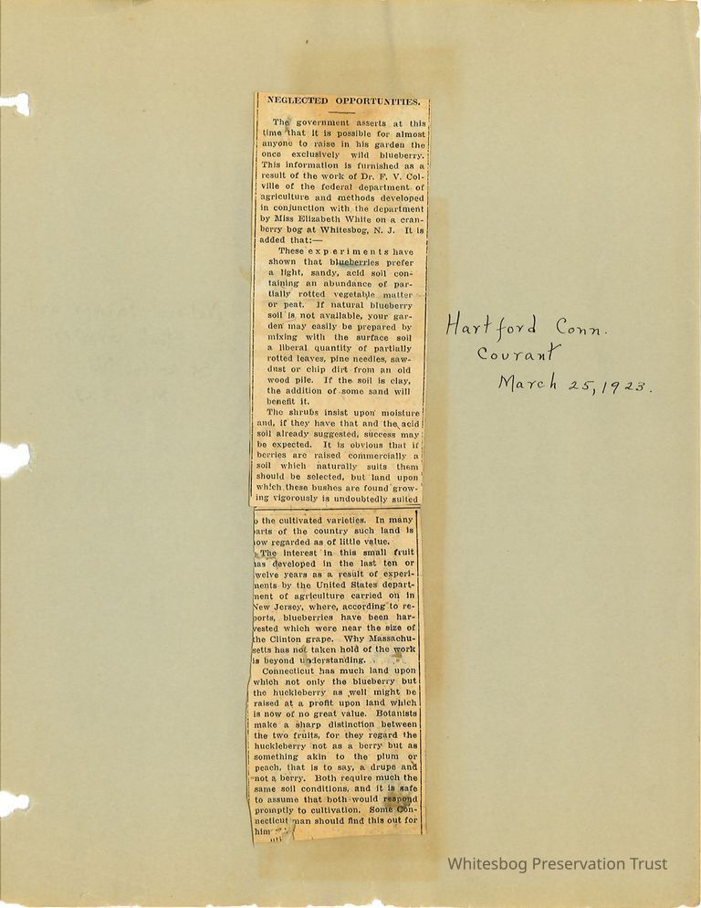          Newspaper Clippings picture number 1
   