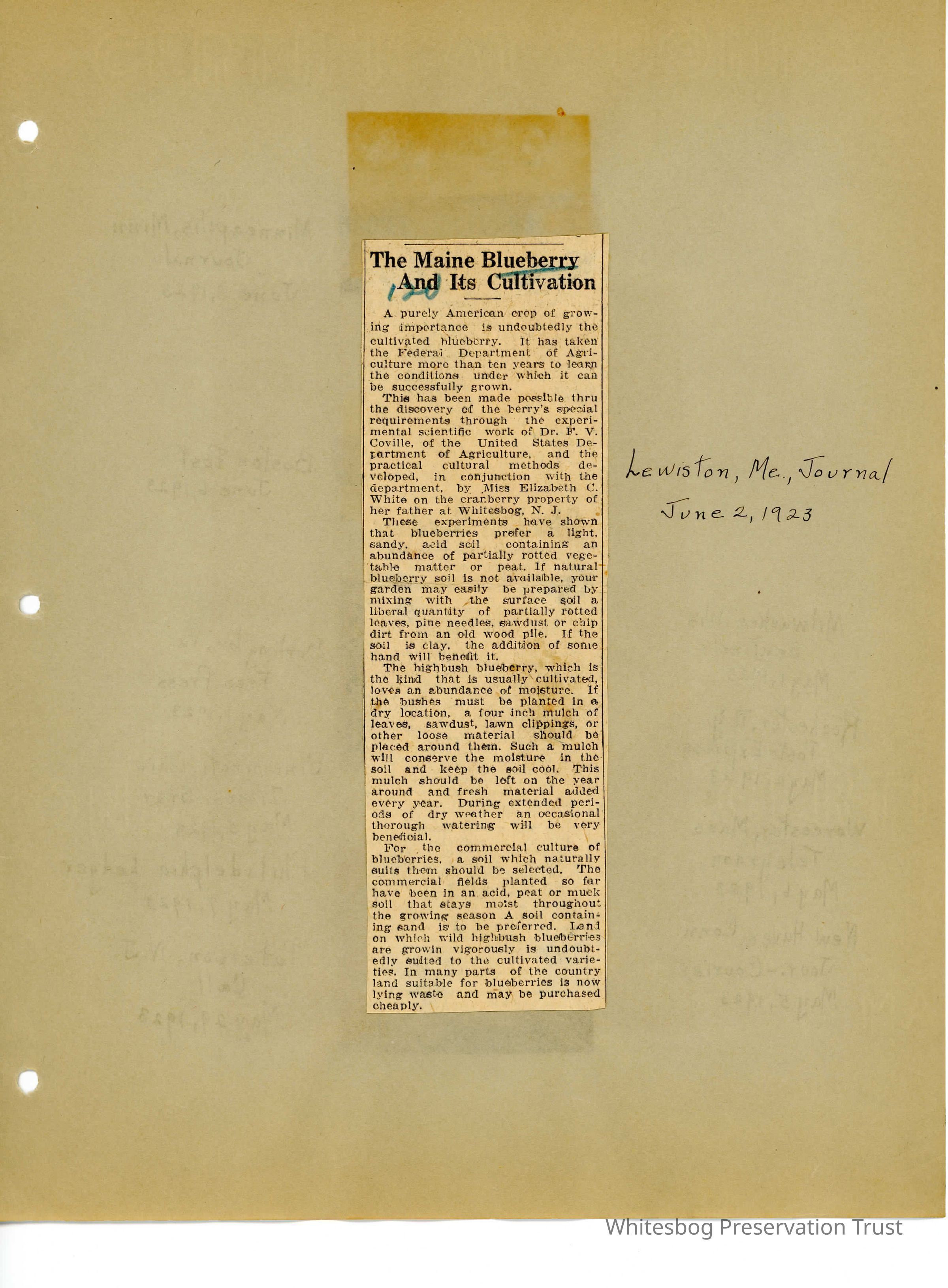          BLueberry Newspaper Clippings picture number 1
   