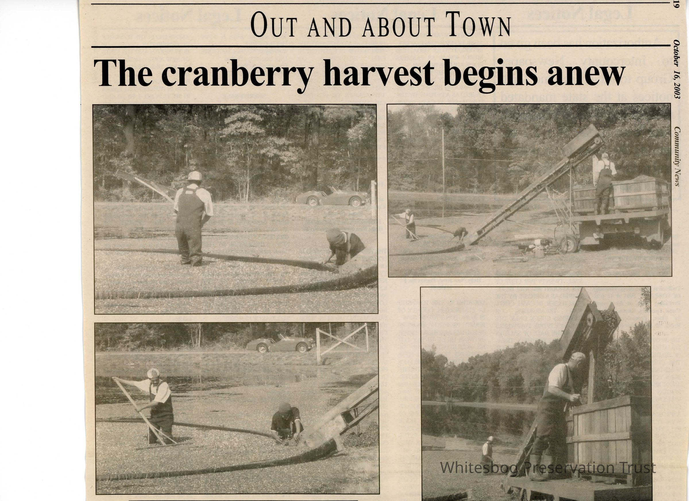 Community News picture number 1