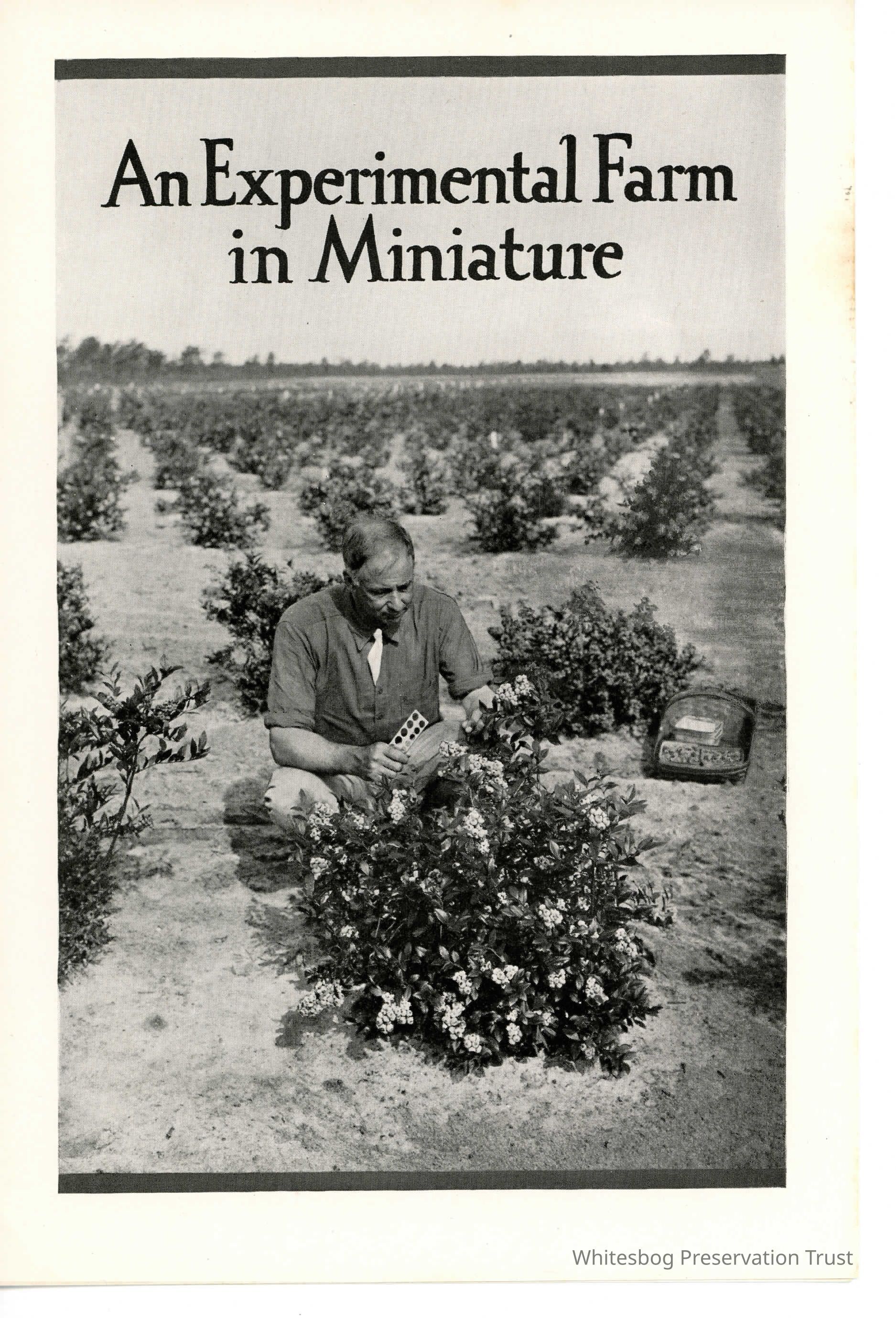 An Experimental Farm in Miniature picture number 1