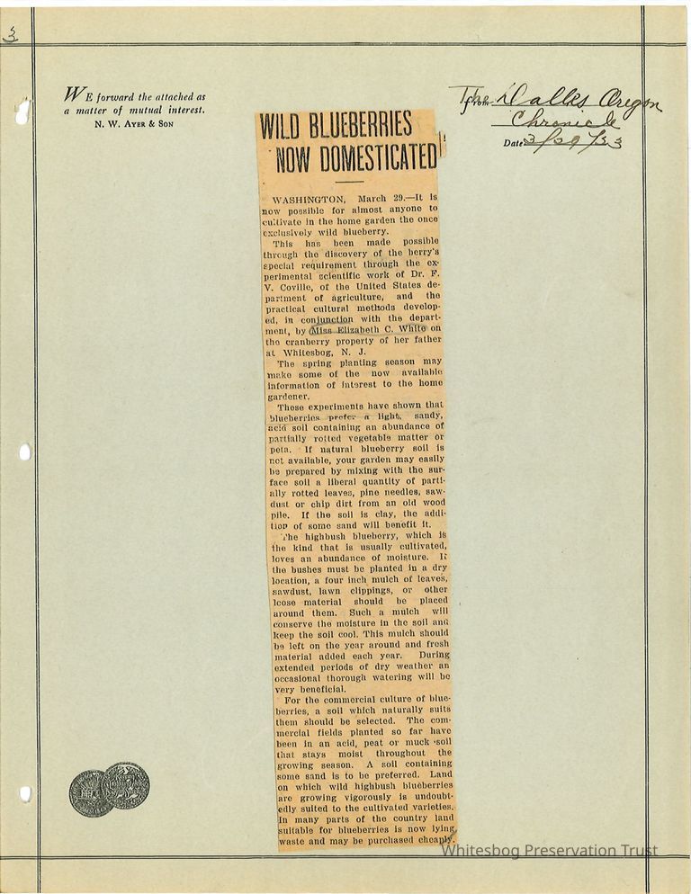          Newspaper Clipping picture number 1
   
