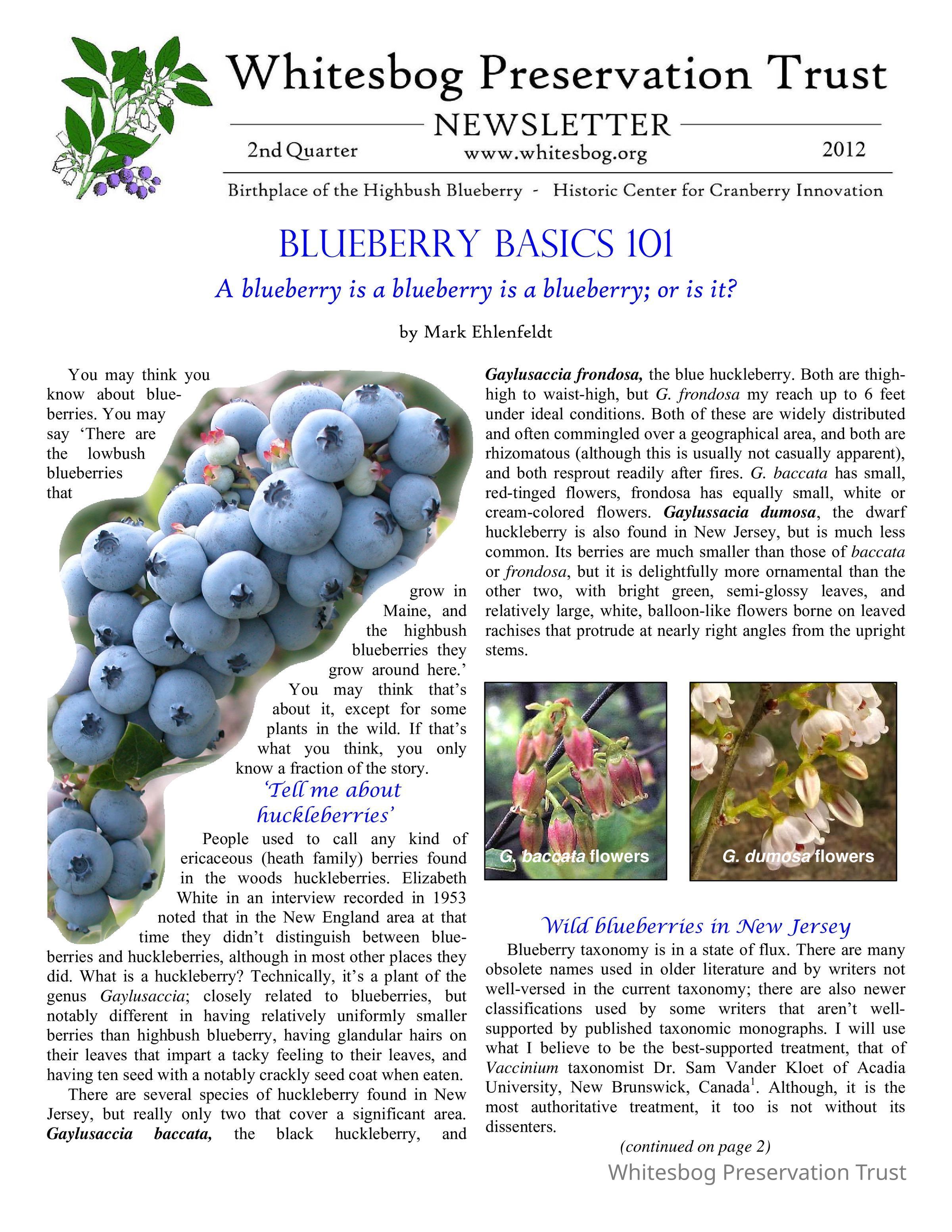 The Whitesbog Preservation Trust Newsletter picture number 1