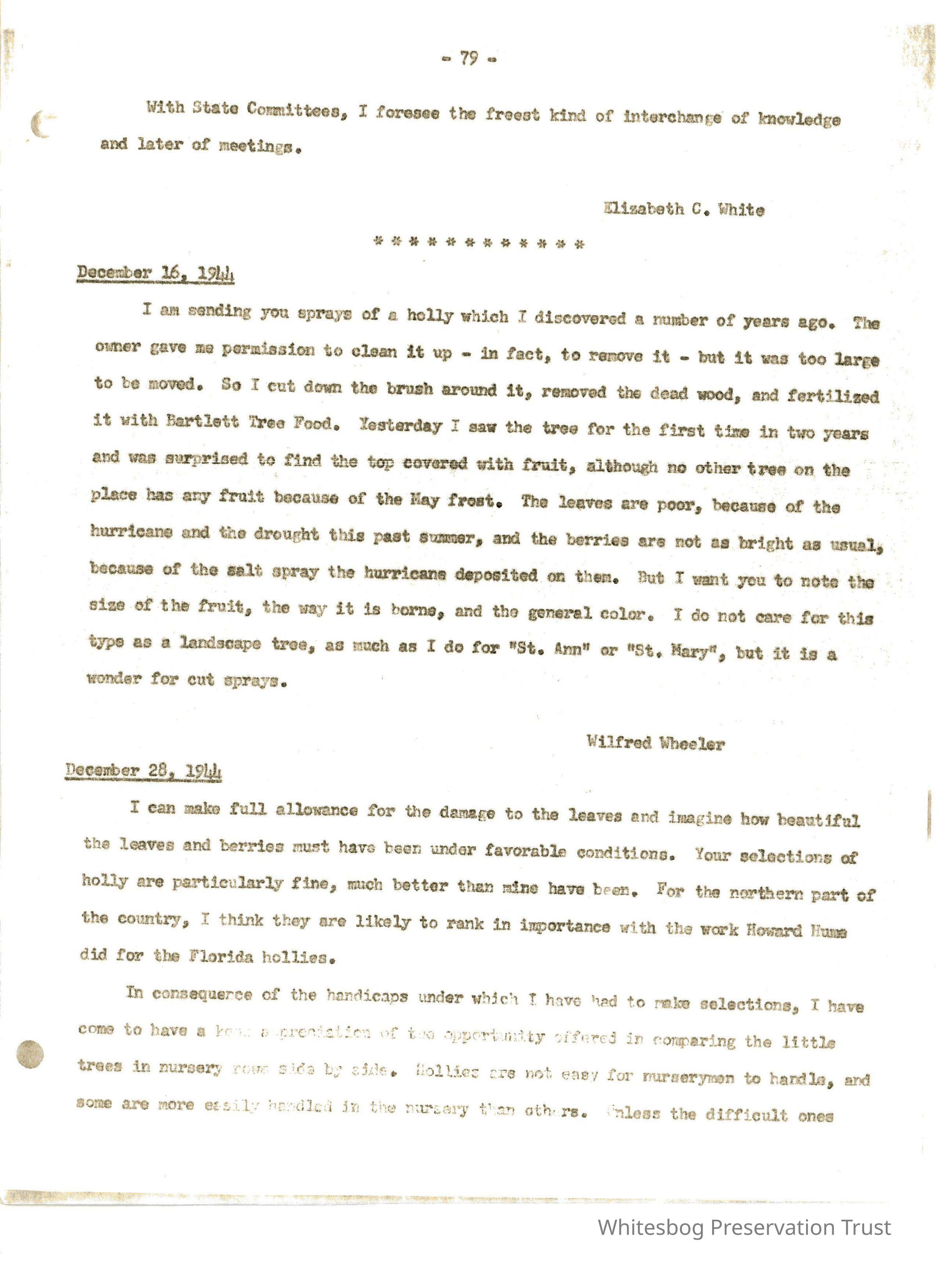 Letters Between Elizabeth White and Wilfrid Wheeler picture number 1