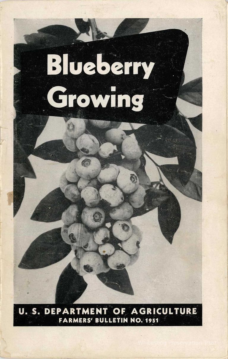          USDA Bulletin No 1951A
   