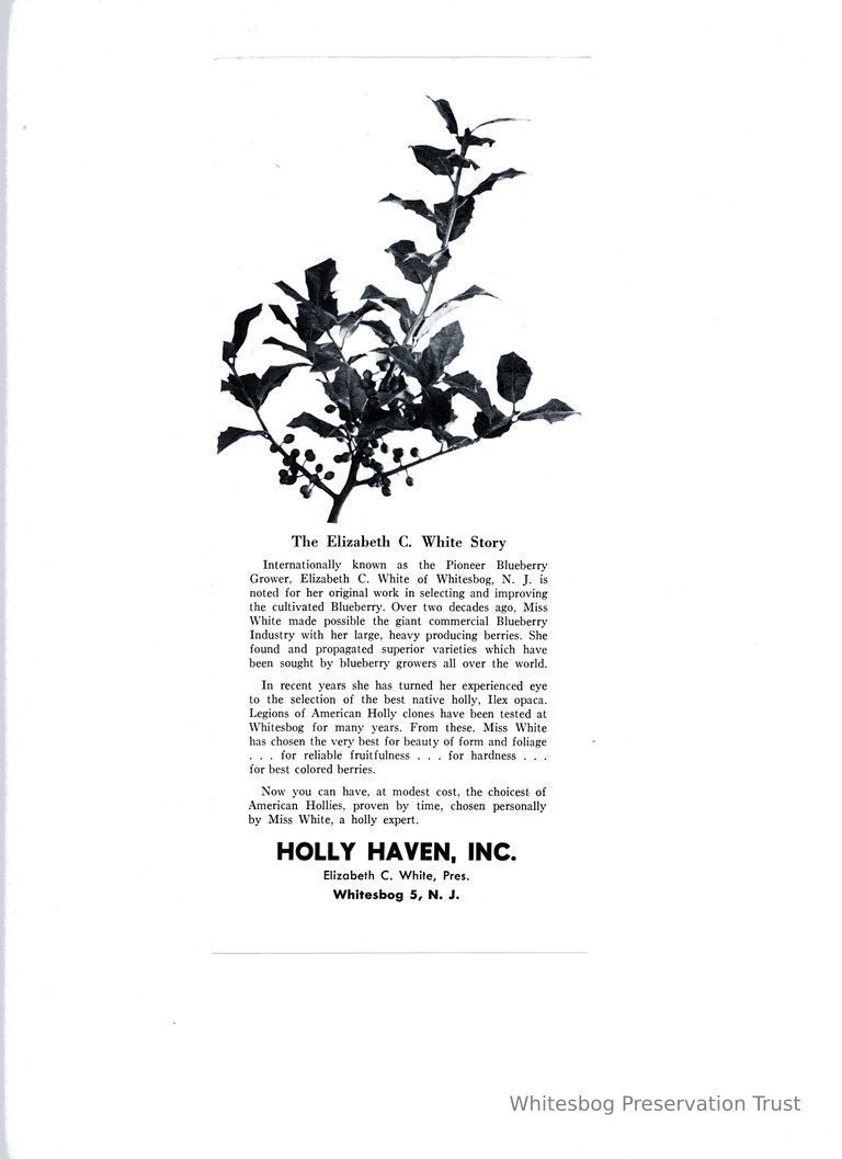          Holly Haven, Inc. picture number 1
   