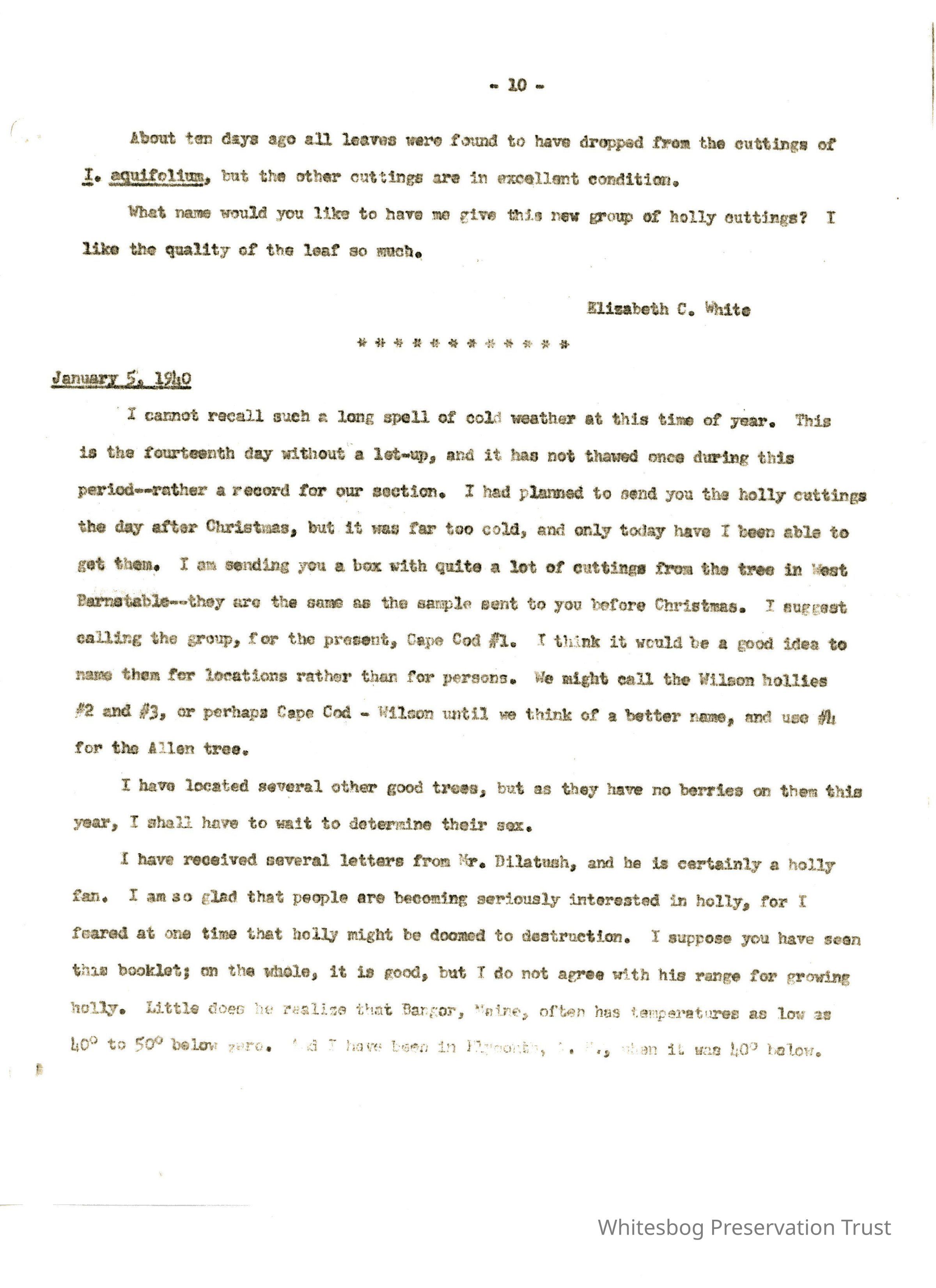 Letters Between Elizabeth White and Wilfrid Wheeler picture number 1