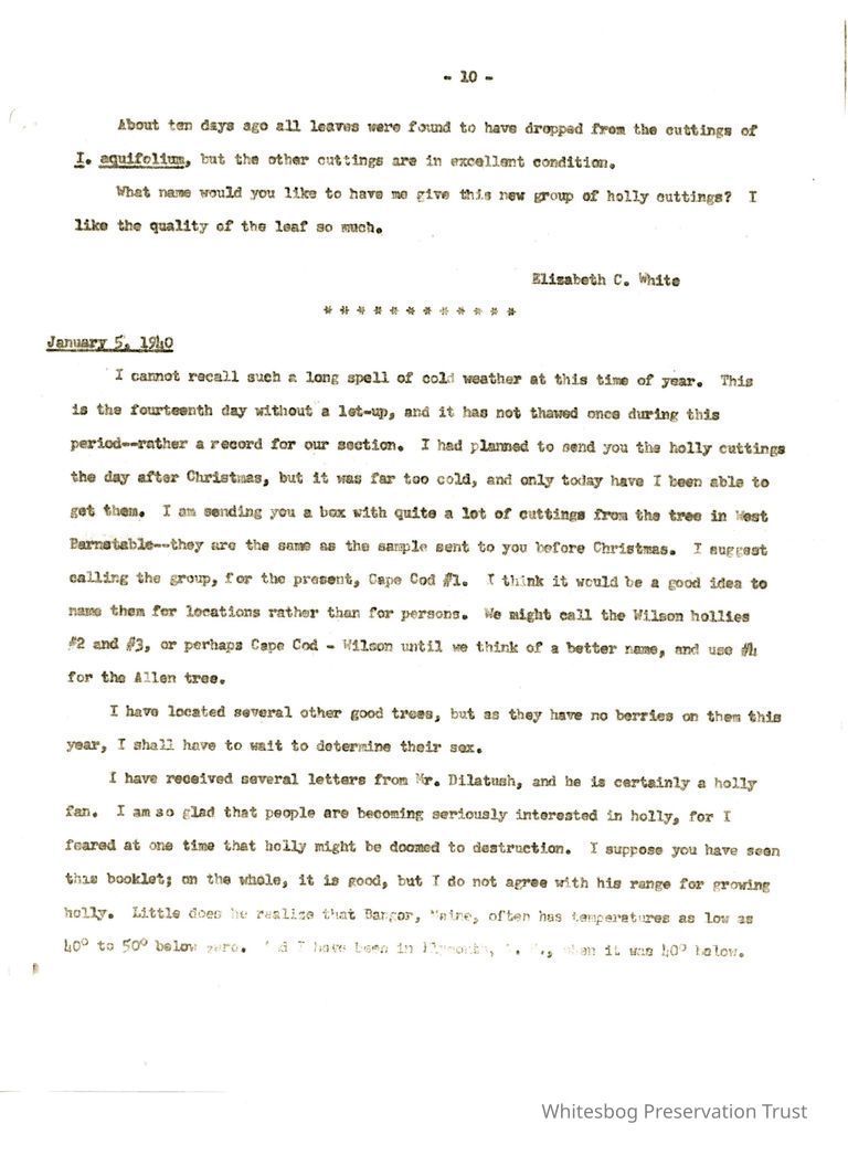          Letters Between Elizabeth White and Wilfrid Wheeler picture number 1
   