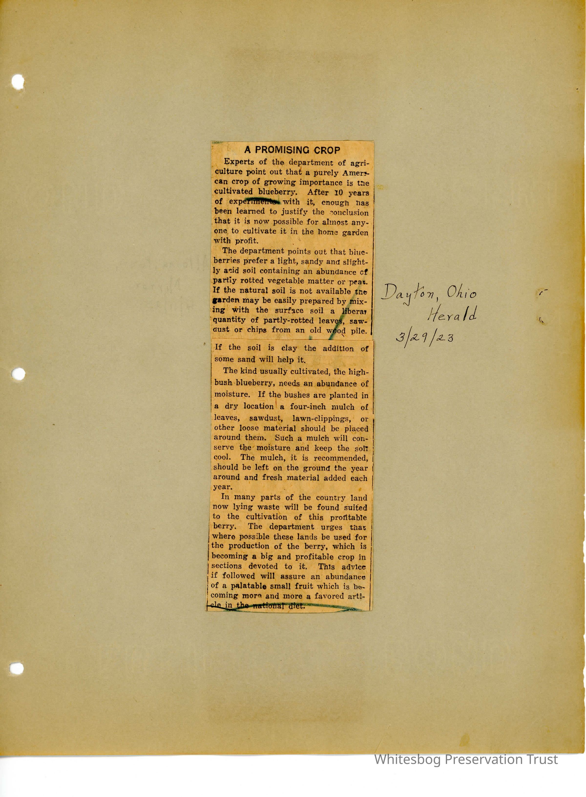 Newspaper Clippings picture number 1