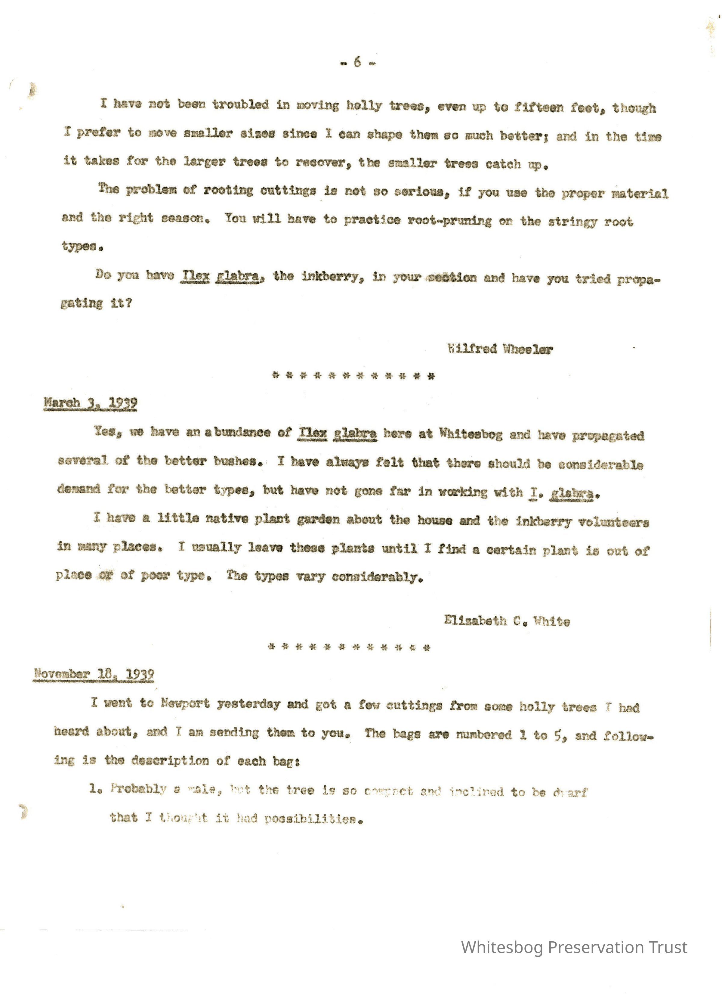 Letters Between Elizabeth White and Wilfrid Wheeler picture number 1