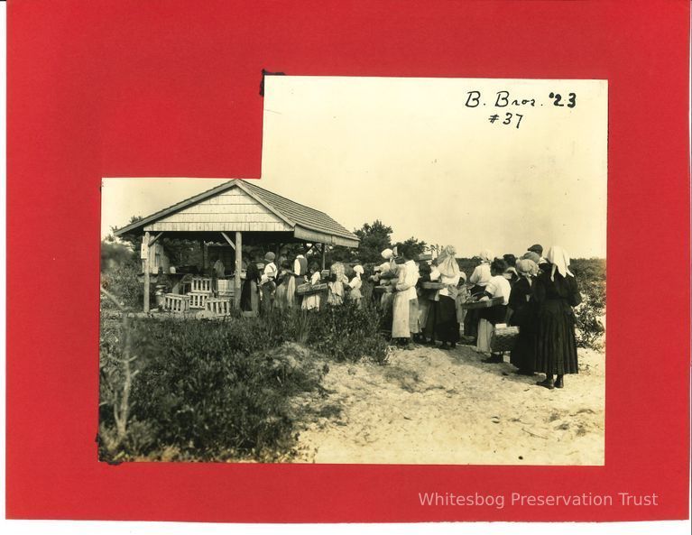          Women and Children at Packing Shed picture number 1
   