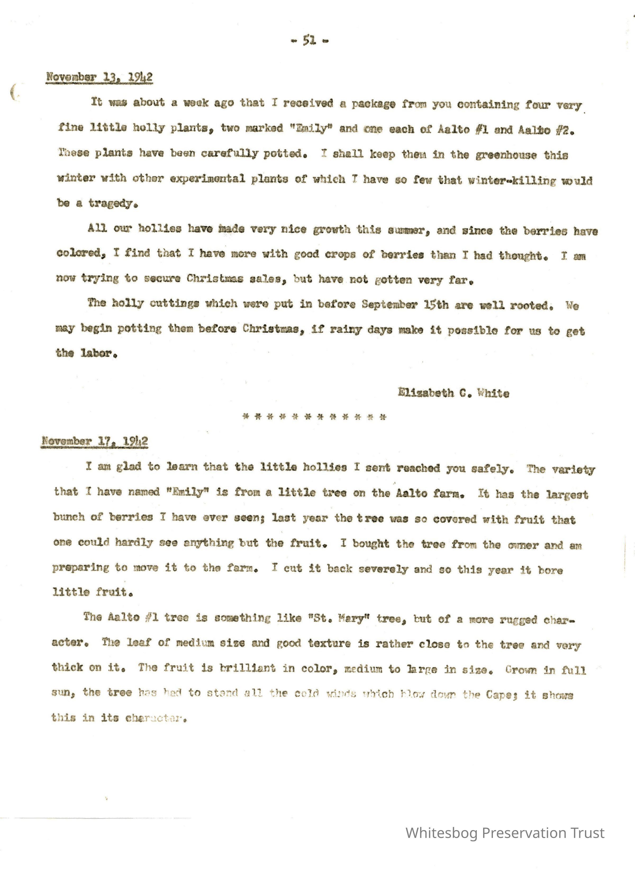 Letters Between Elizabeth White and Wilfrid Wheeler picture number 1