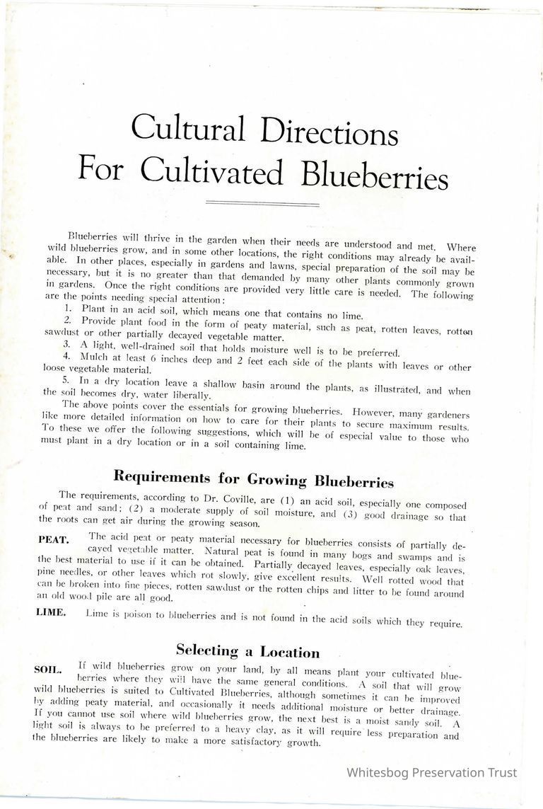          Cultural Directions For Cultivated Blueberries picture number 1
   