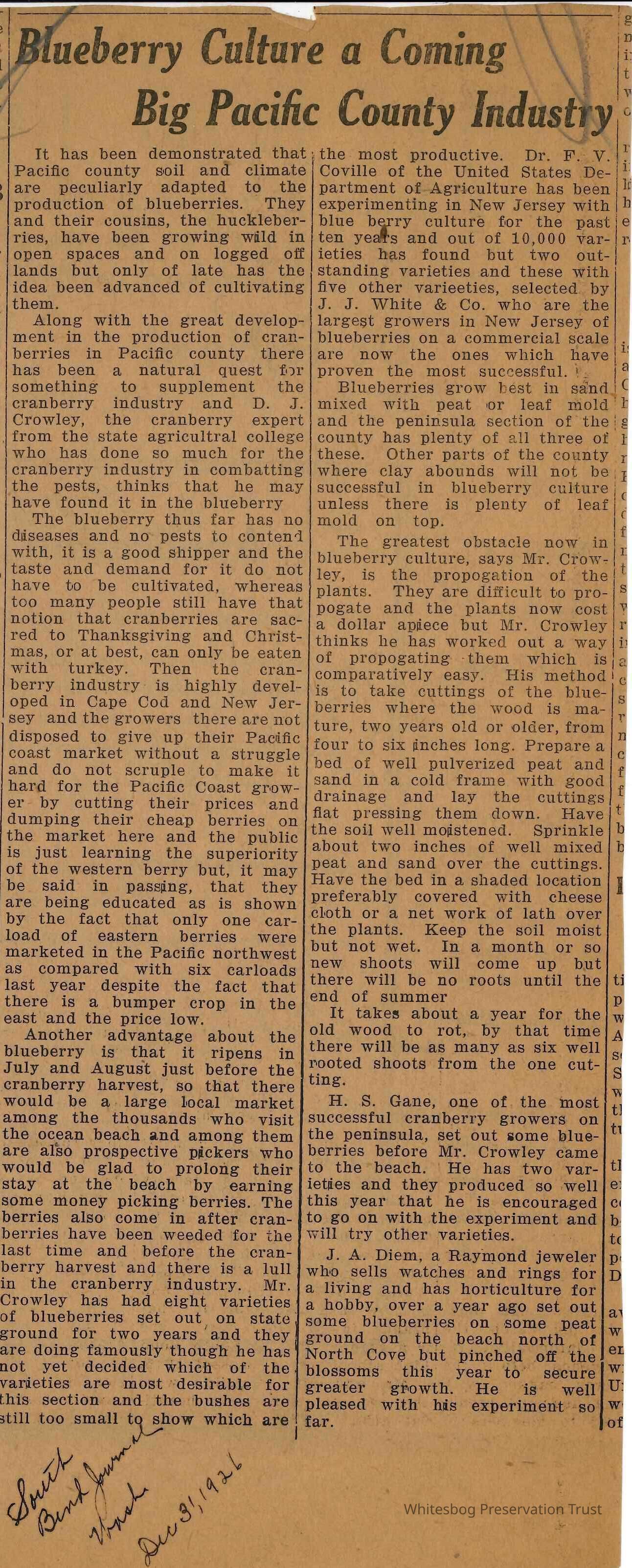          Blueberry Culture- Pacific County
   