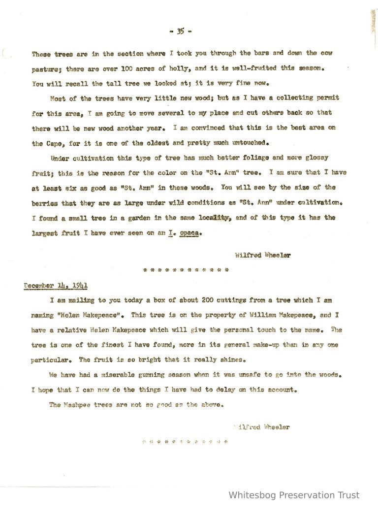          Letters Between Elizabeth White and Wilfrid Wheeler picture number 1
   