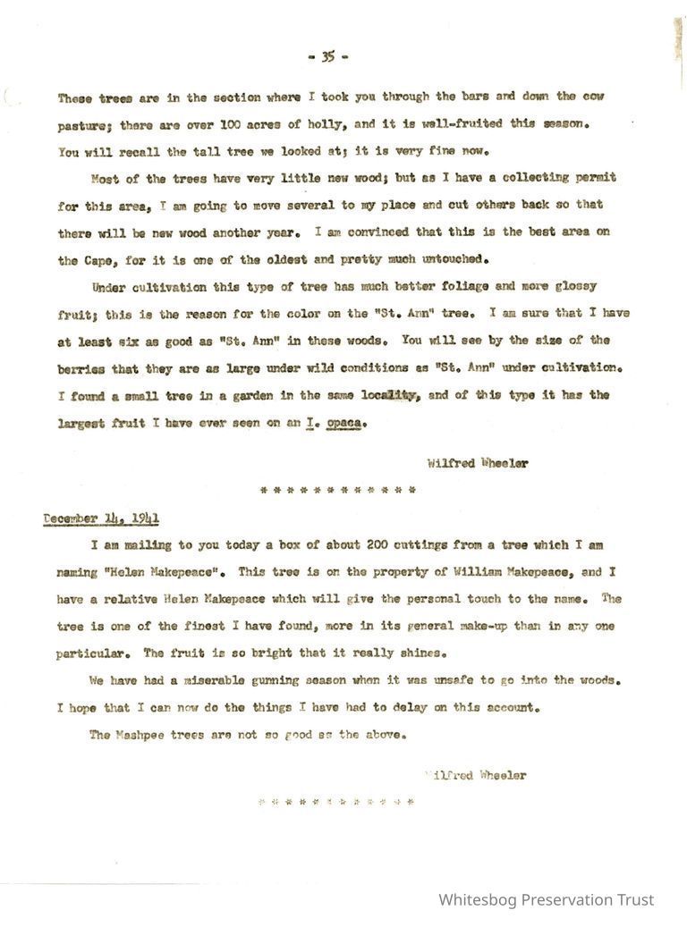          Letters Between Elizabeth White and Wilfrid Wheeler picture number 1
   