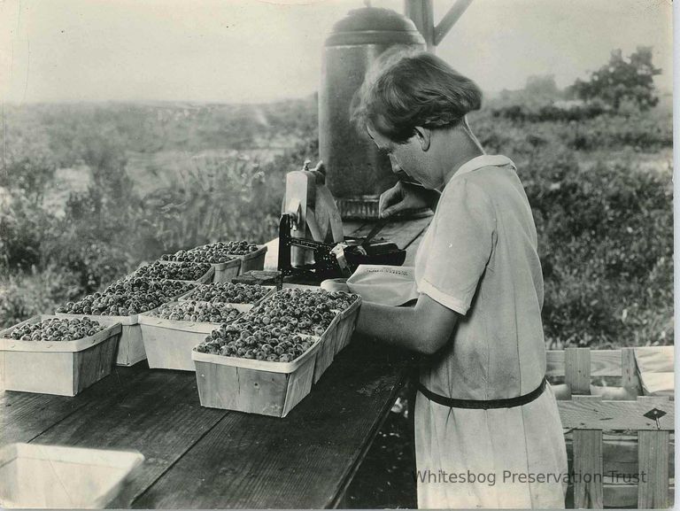          Packaging a Quart of Blueberries
   