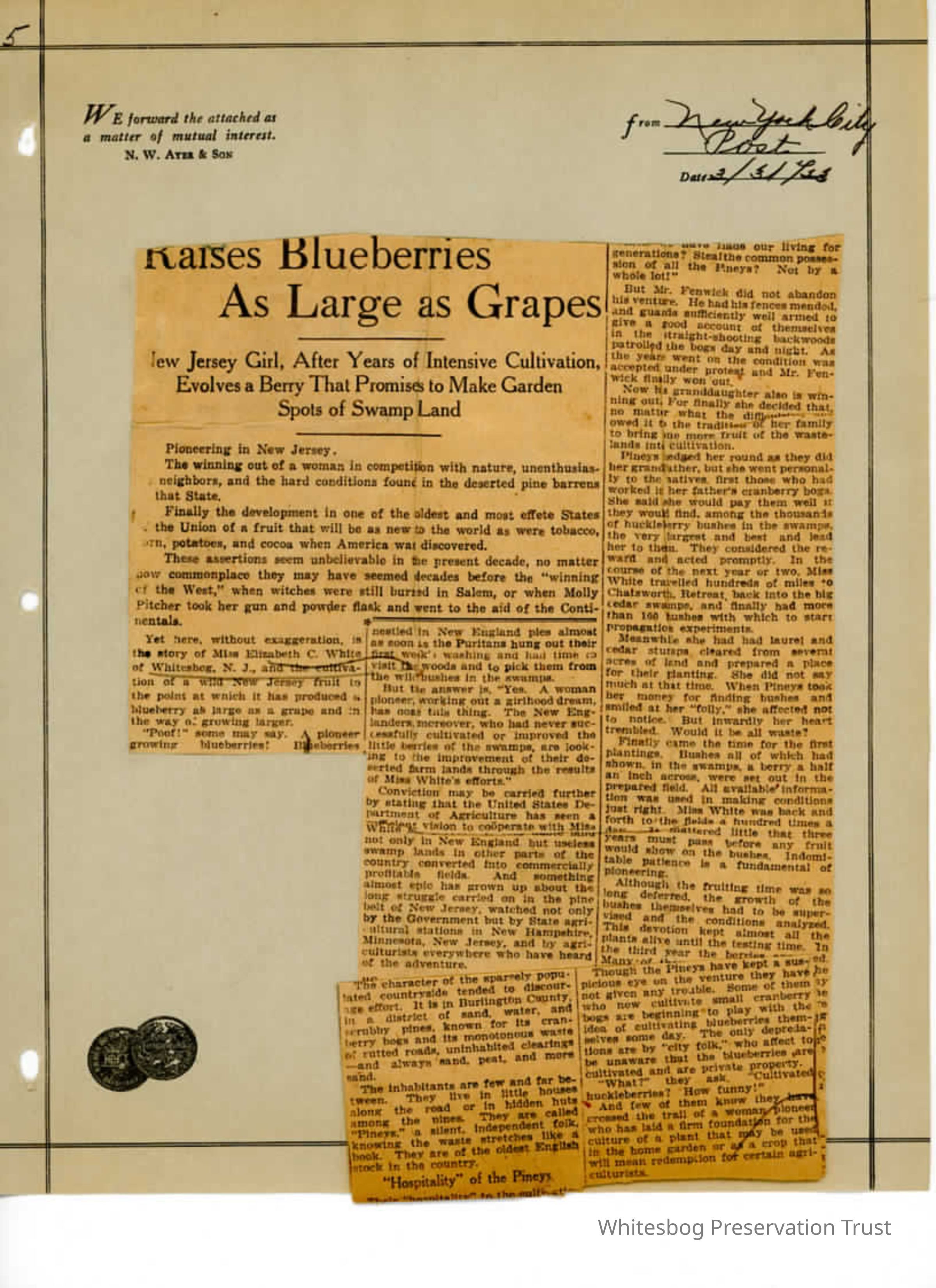          Newspaper Clipping picture number 1
   