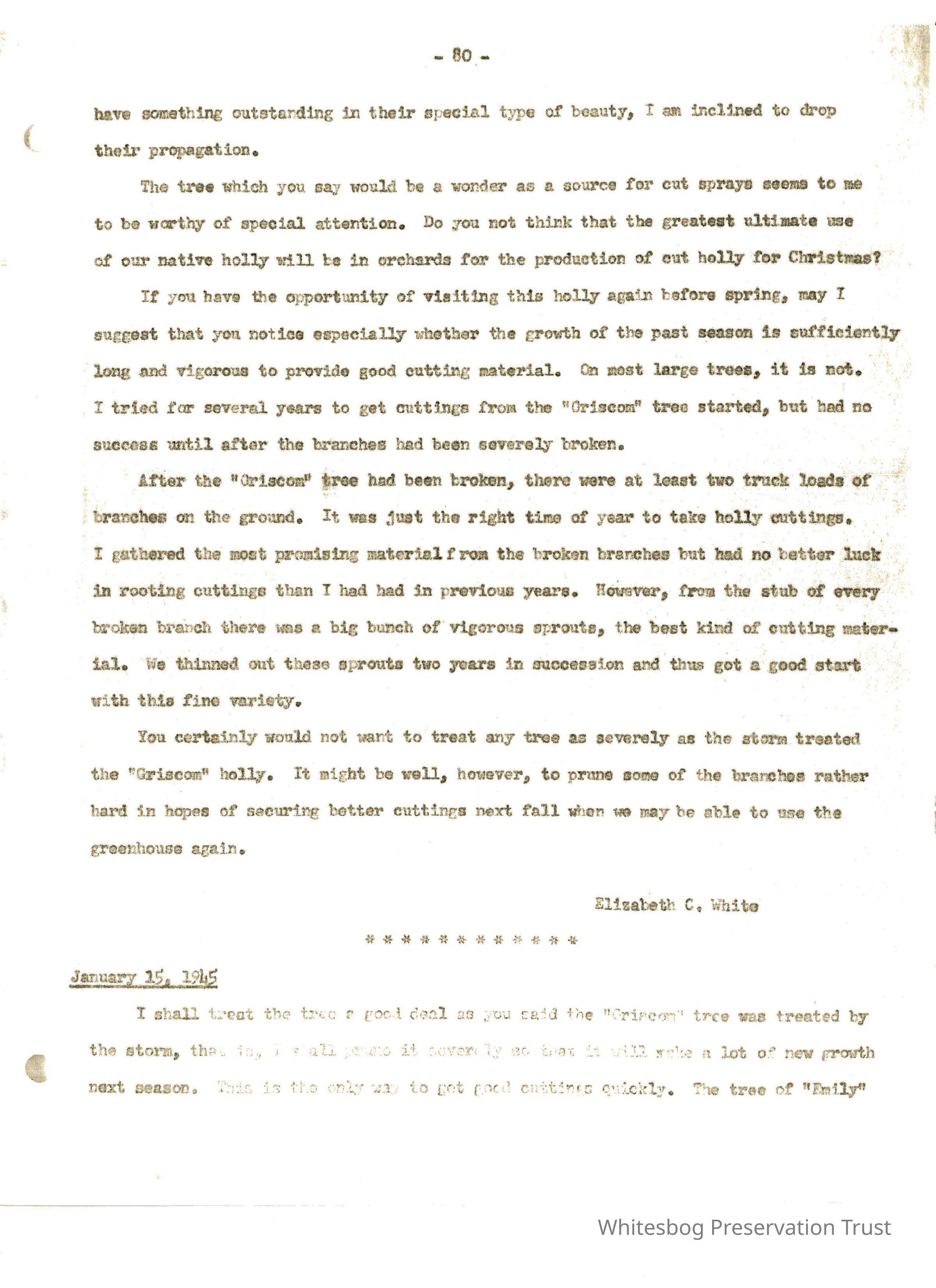 Letters Between Elizabeth White and Wilfrid Wheeler picture number 1
