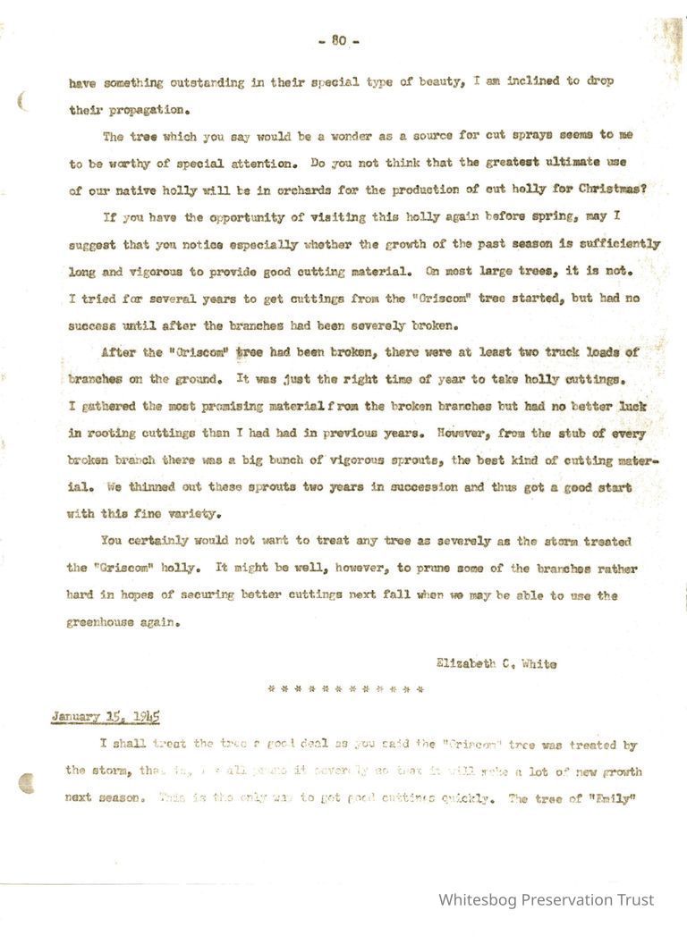          Letters Between Elizabeth White and Wilfrid Wheeler picture number 1
   
