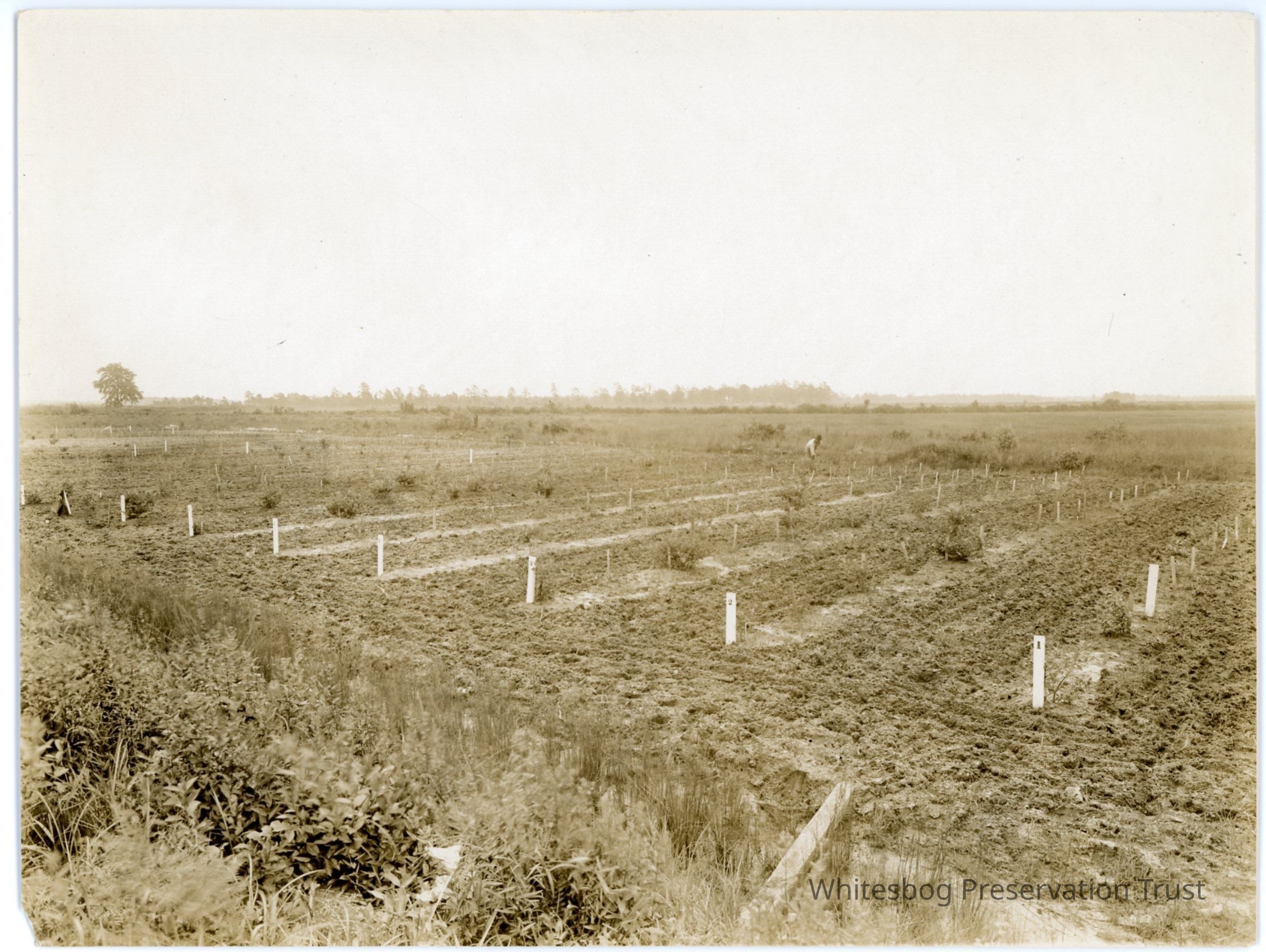          7/10/1914 picture number 1
   