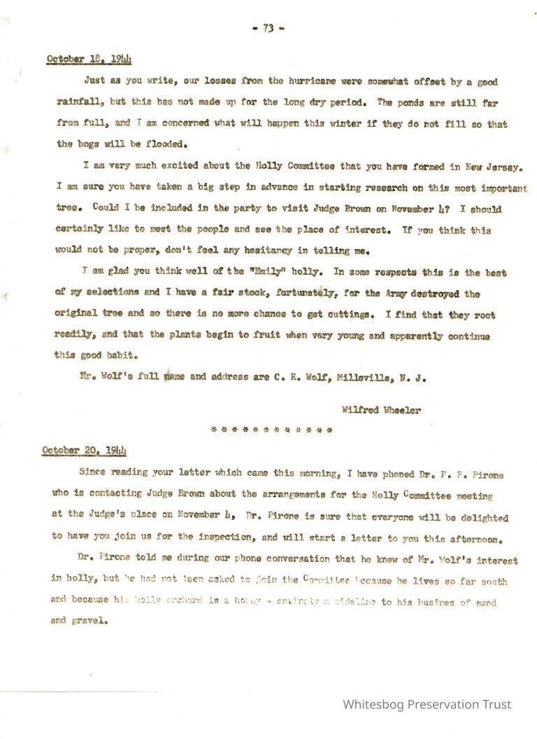         Letters Between Elizabeth White and Wilfrid Wheeler picture number 1
   