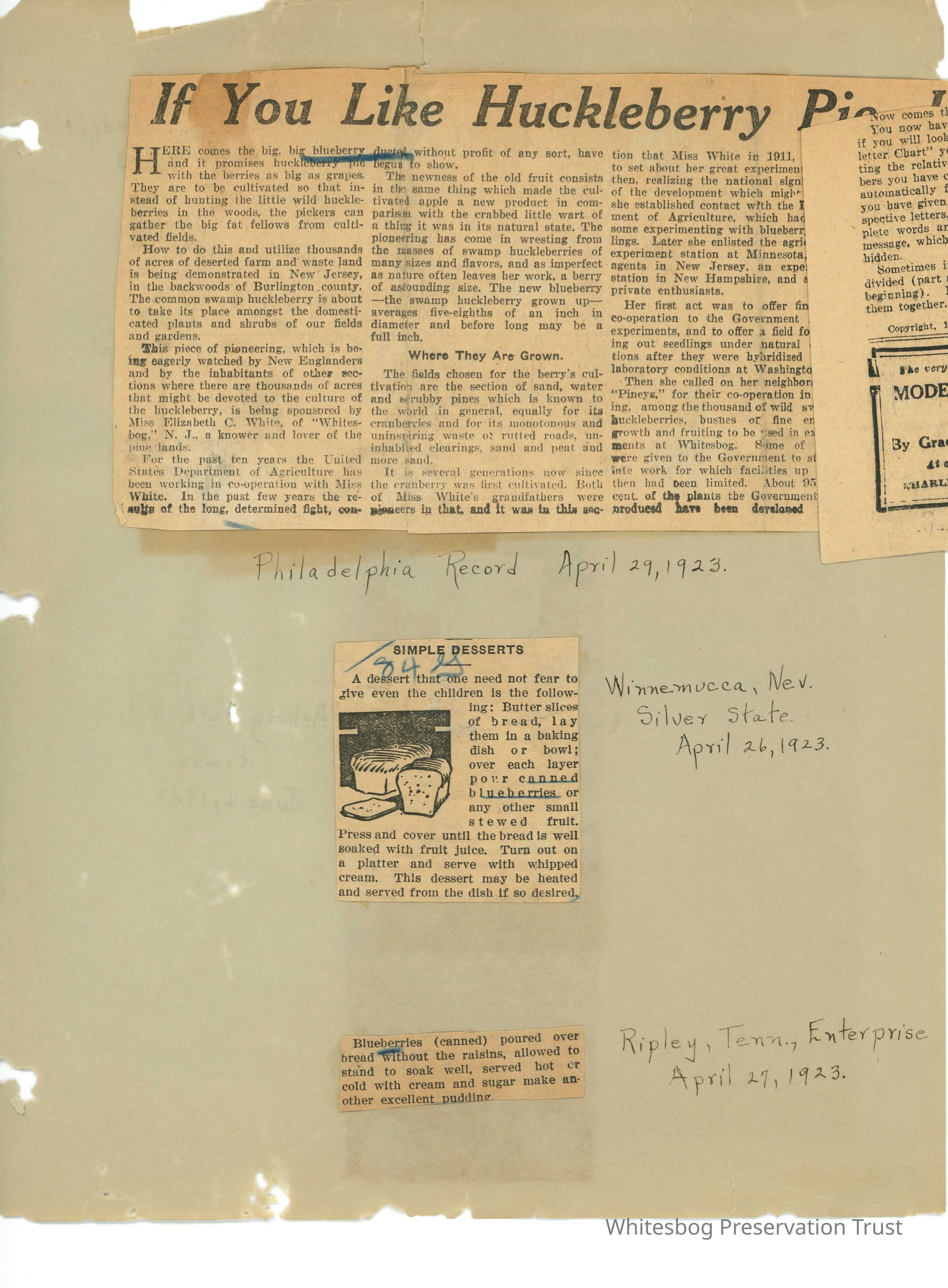 Blueberry Recipes and Cultivated Blueberry History picture number 1