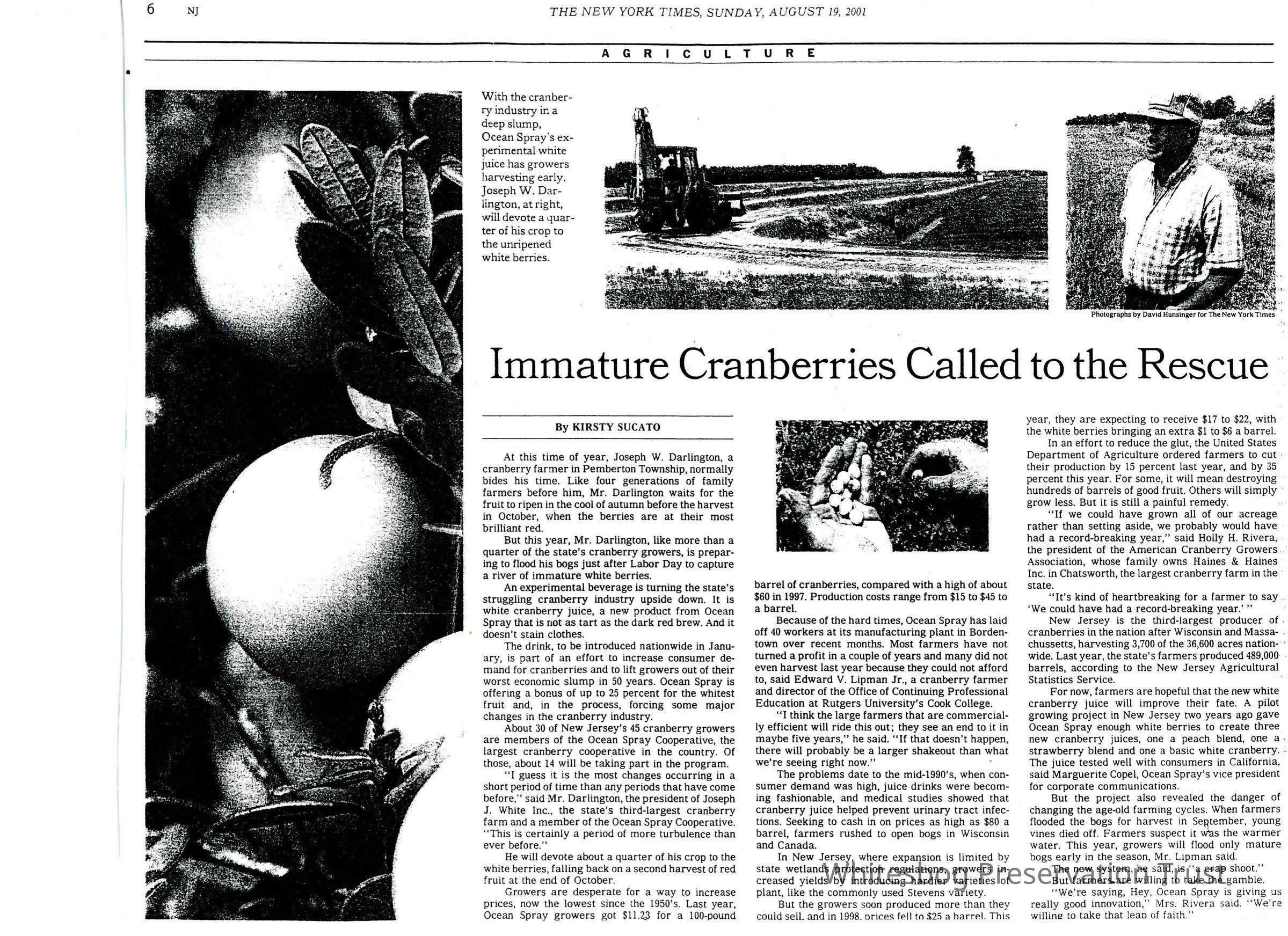 The New York Times picture number 1
