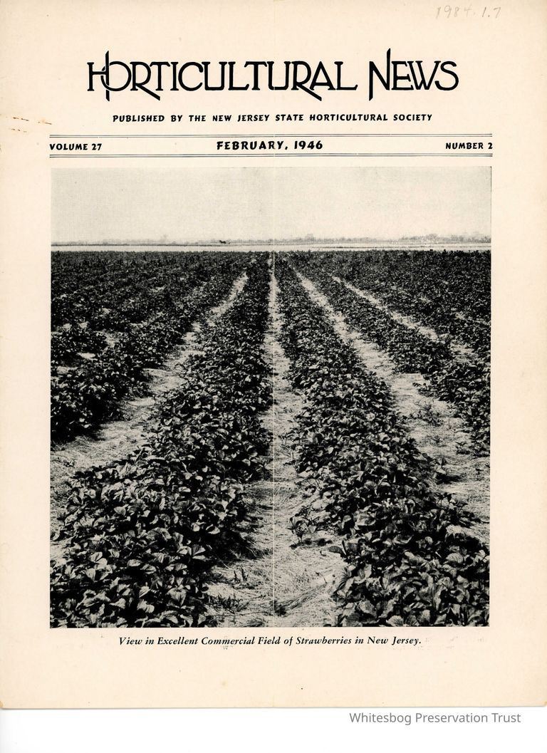          Elizabeth White Is A Horticultural Pioneer picture number 1
   