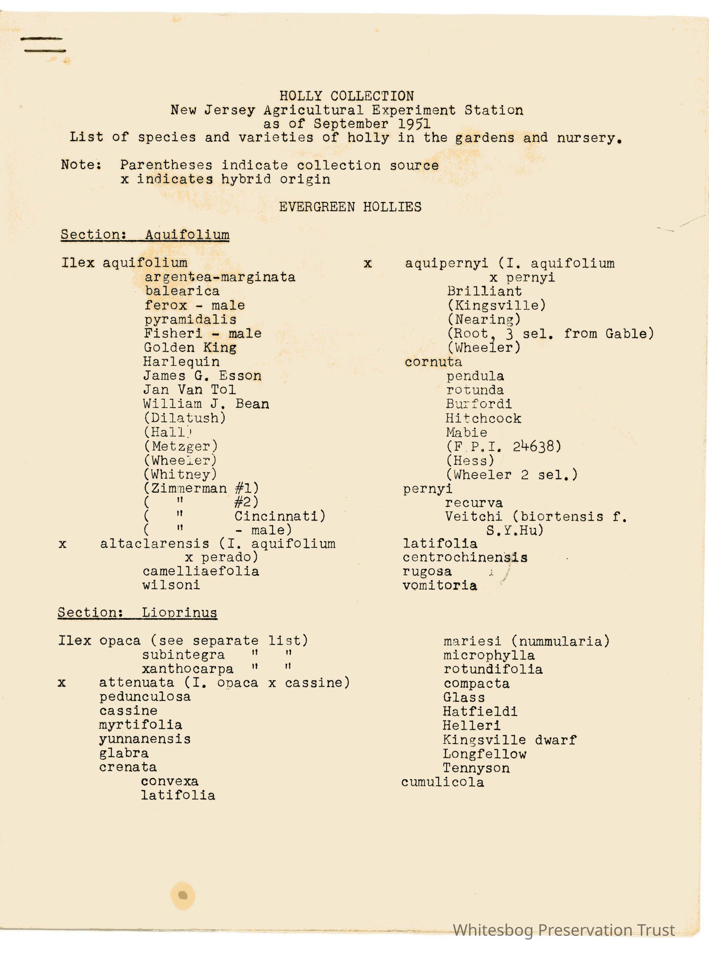          Holly Collection picture number 1
   