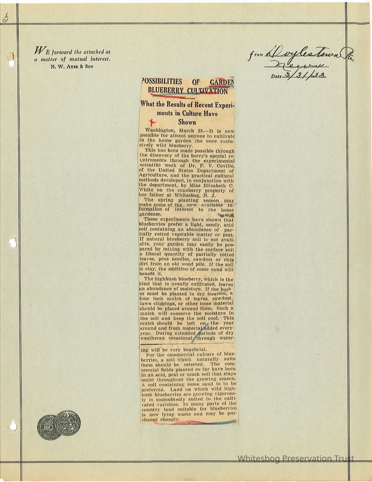          Newspaper Clipping picture number 1
   