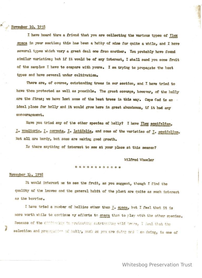          Letters Between Wilfrid Wheeler & Elizabeth White picture number 1
   