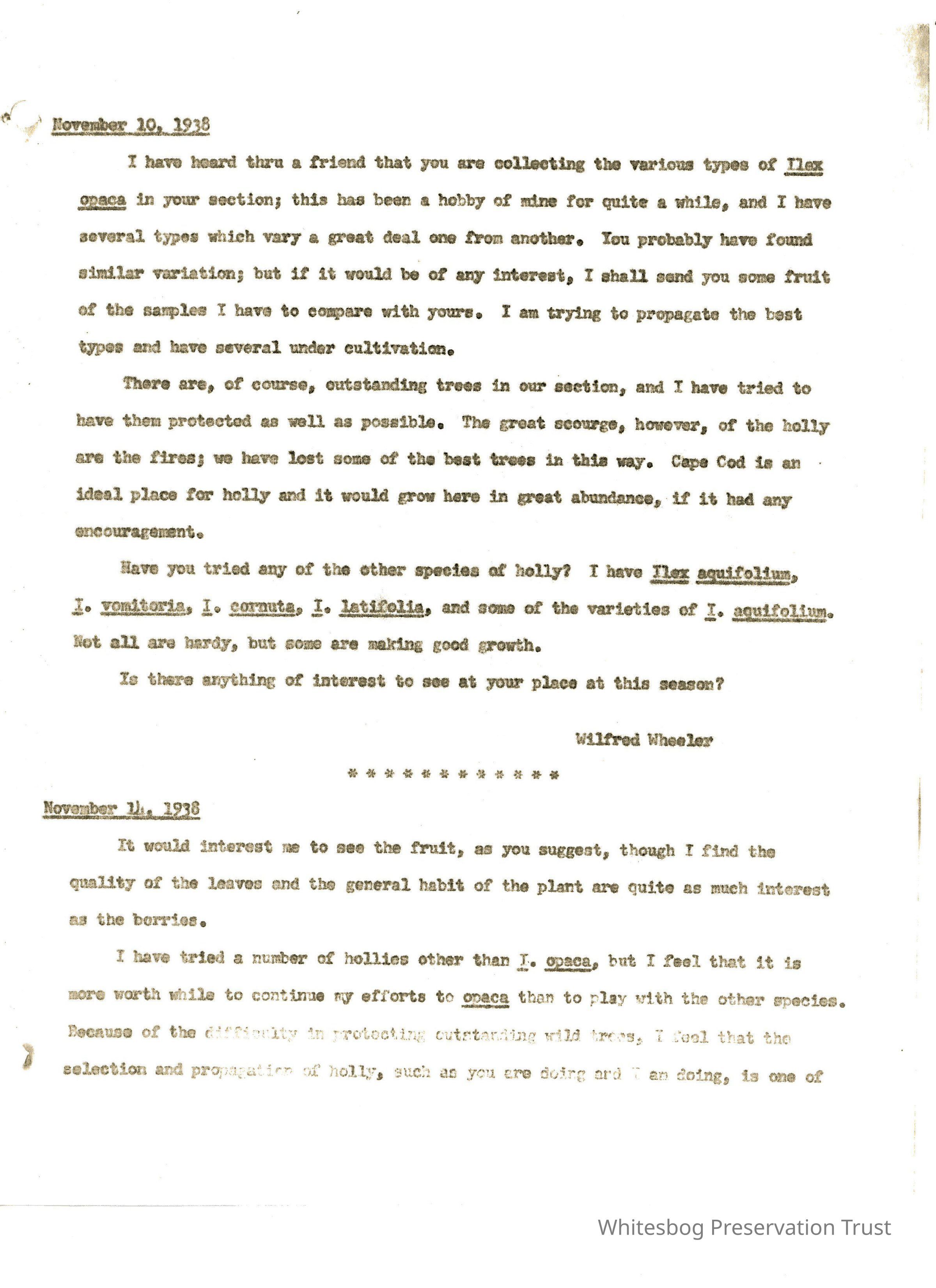 Letters Between Wilfrid Wheeler & Elizabeth White picture number 1
