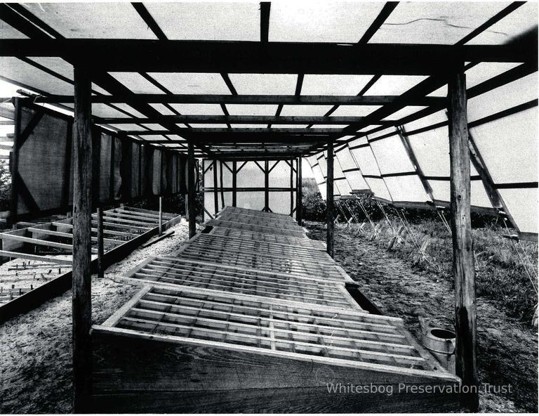          Propagating Frames in Shade House
   