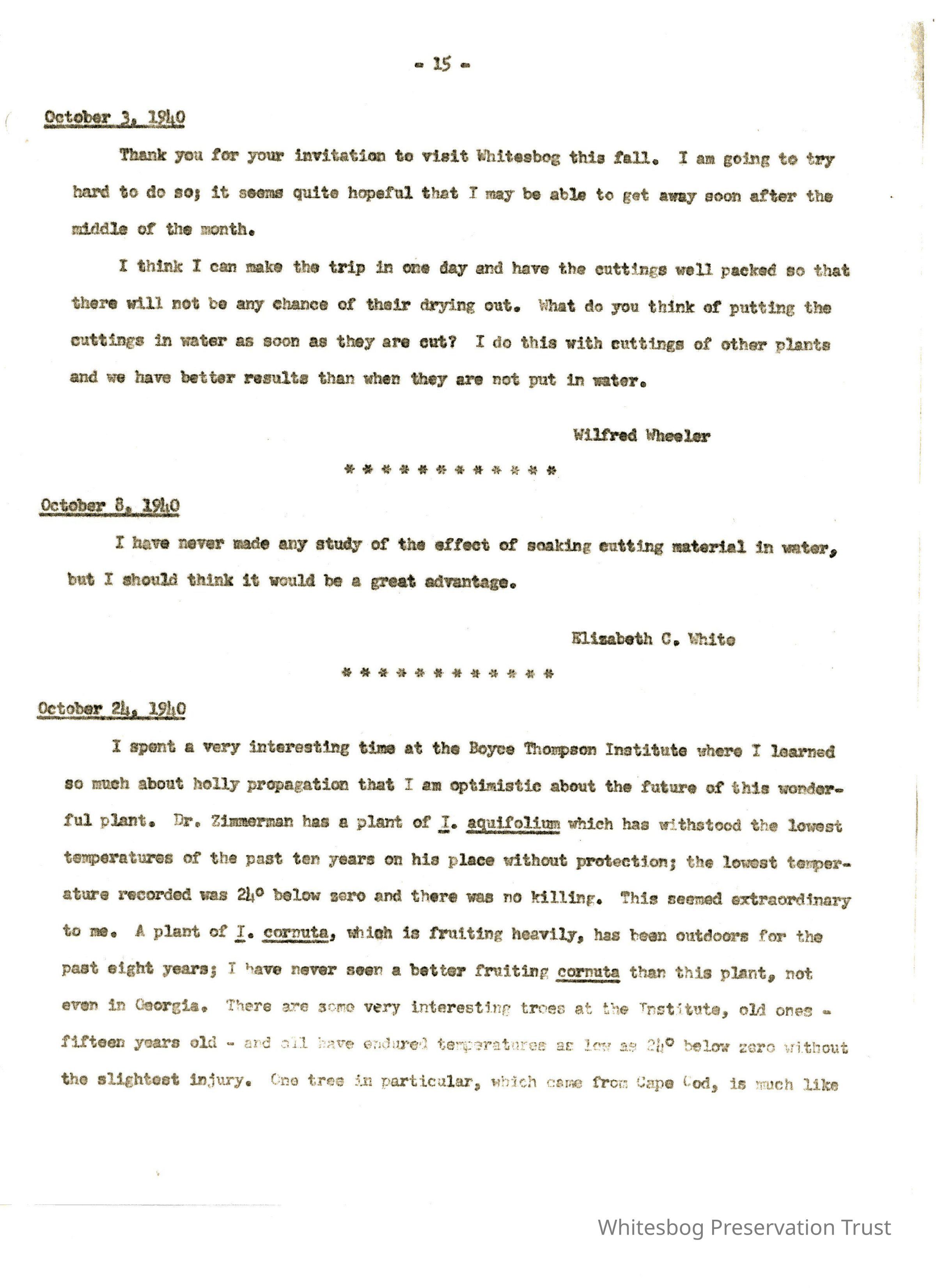 Letters Between Elizabeth White and Wilfrid Wheeler picture number 1