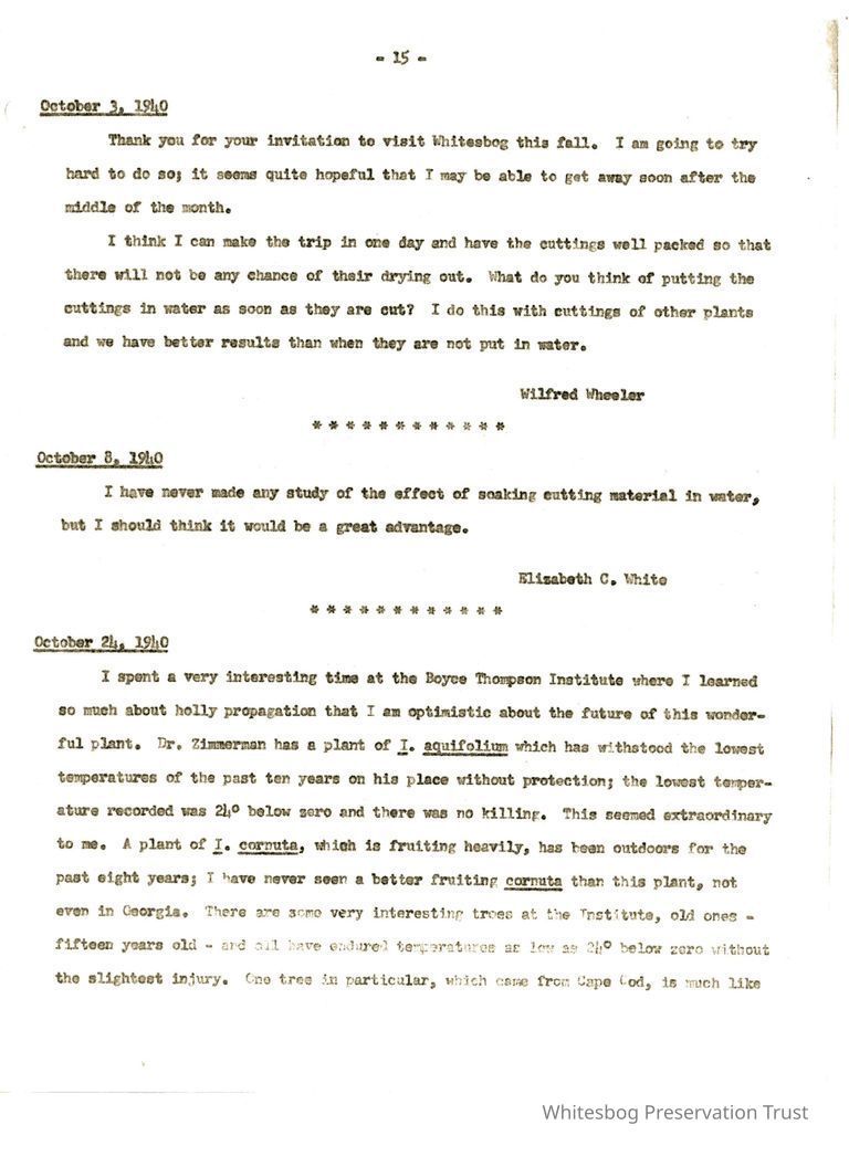          Letters Between Elizabeth White and Wilfrid Wheeler picture number 1
   
