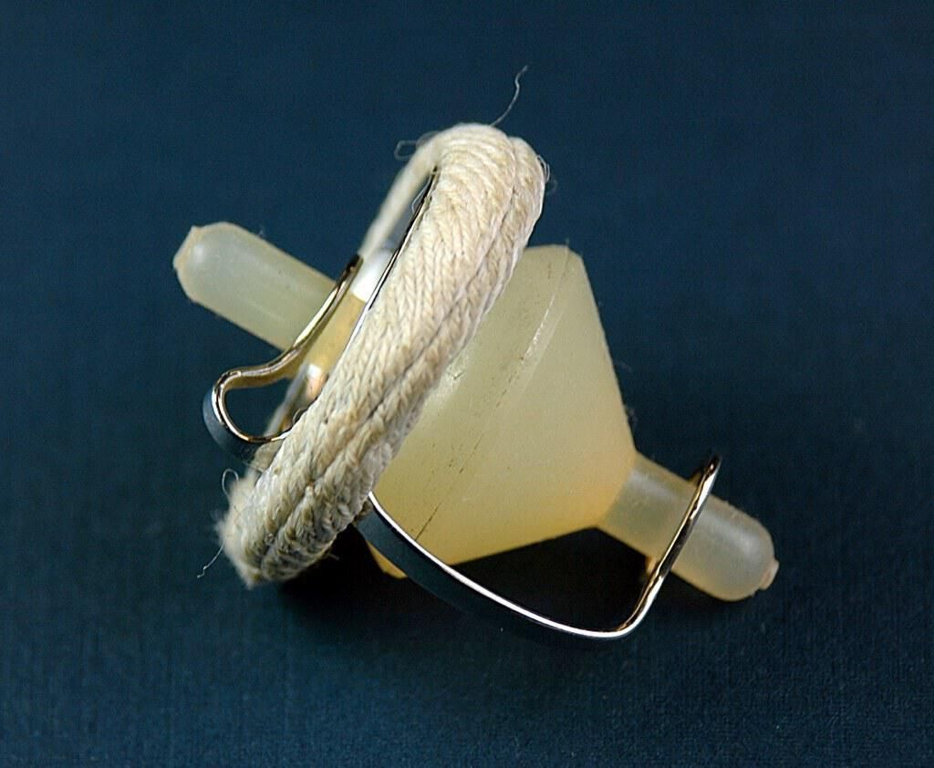 Heart Valves, Prosthetic