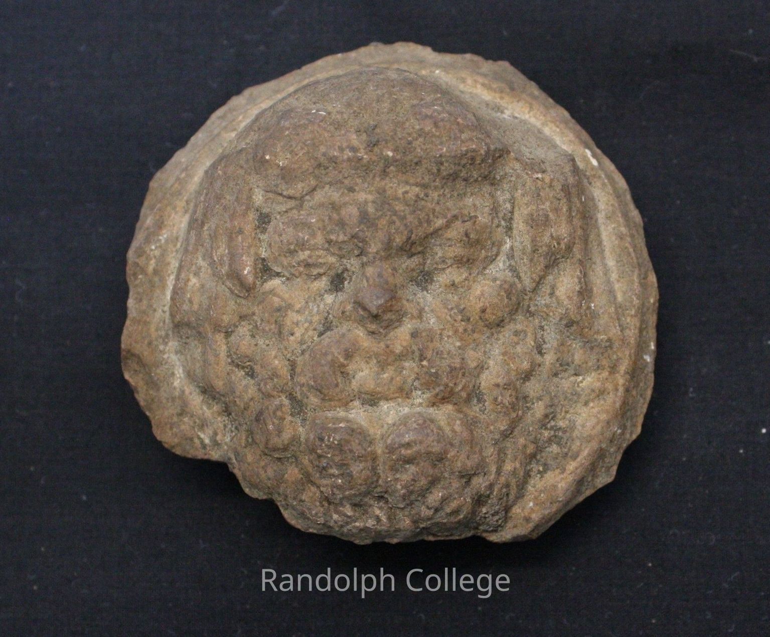 Terracotta - Randolph College Ancient Collections