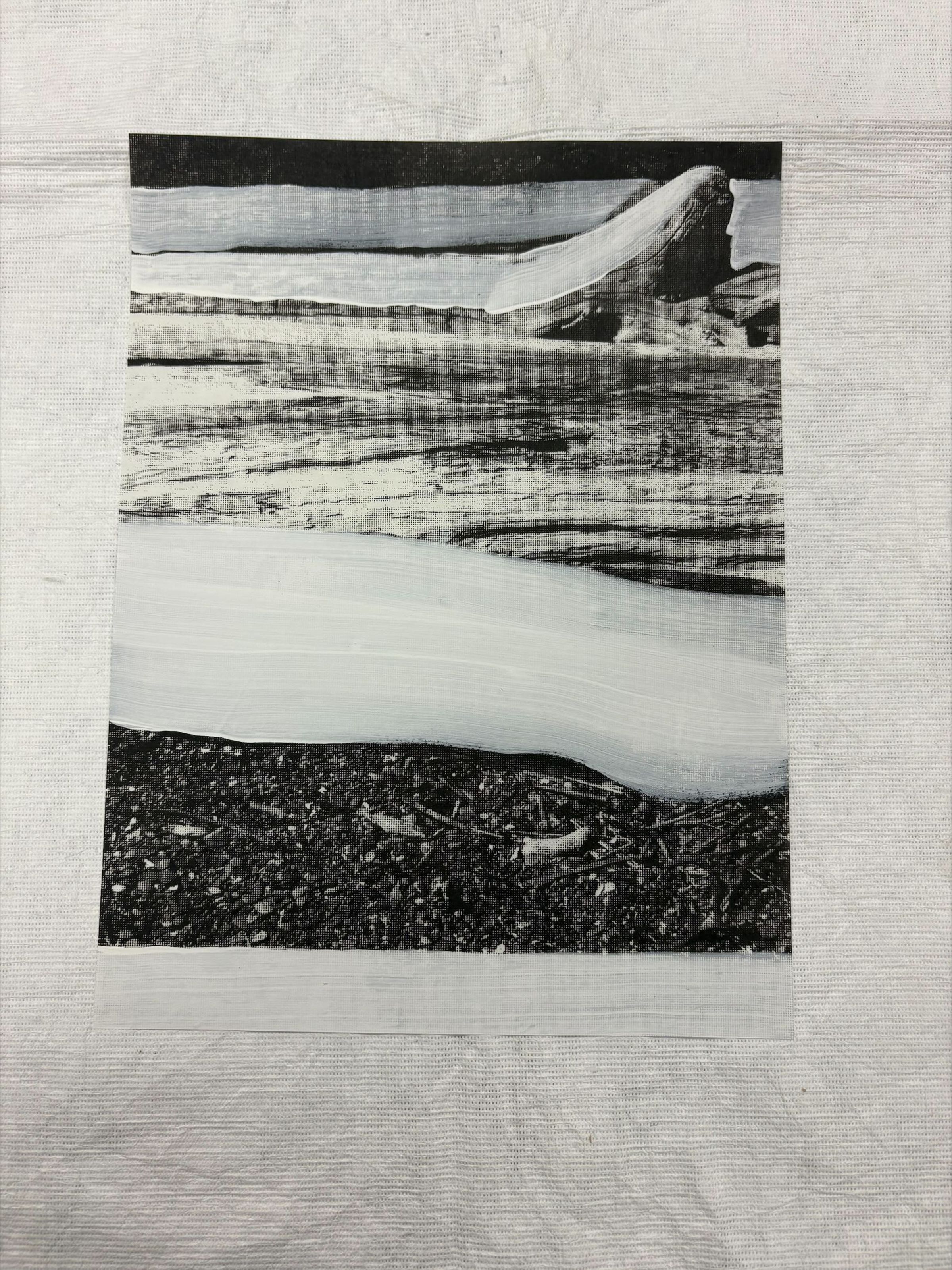 Front: A vertical oriented screen print that is a full bleed print. The print depicts an abstract sort of landscape with a black, white and grey color scale.