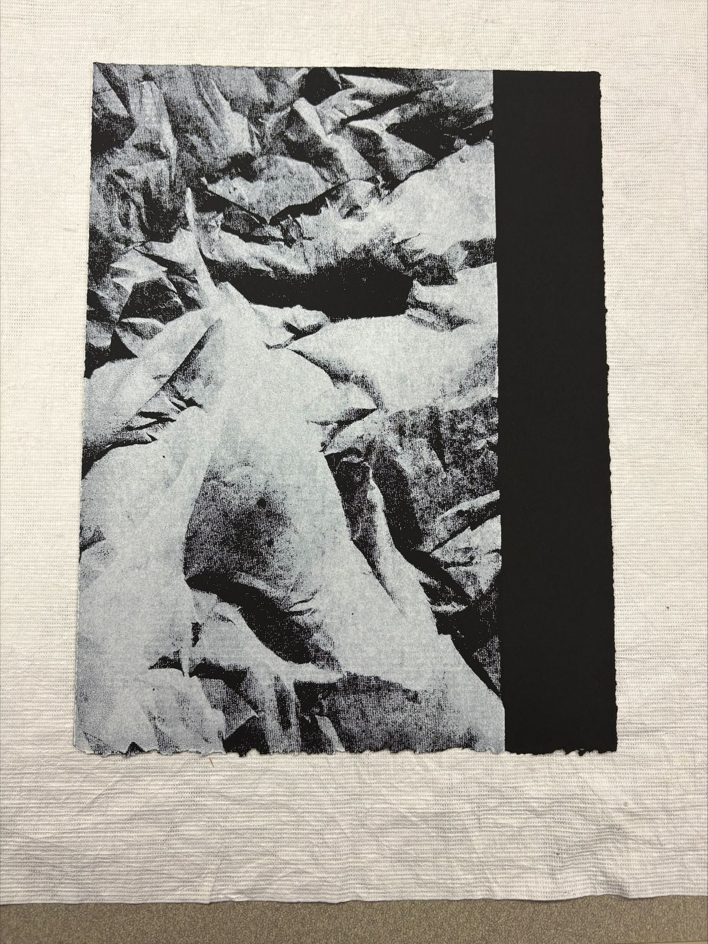 Front: A vertically oriented, standard letter size intaglio and screen print done with black ink. The print depicts an abstract landscape of the artist own imagination with a thick vertical black band cropping the proper left side of the image.