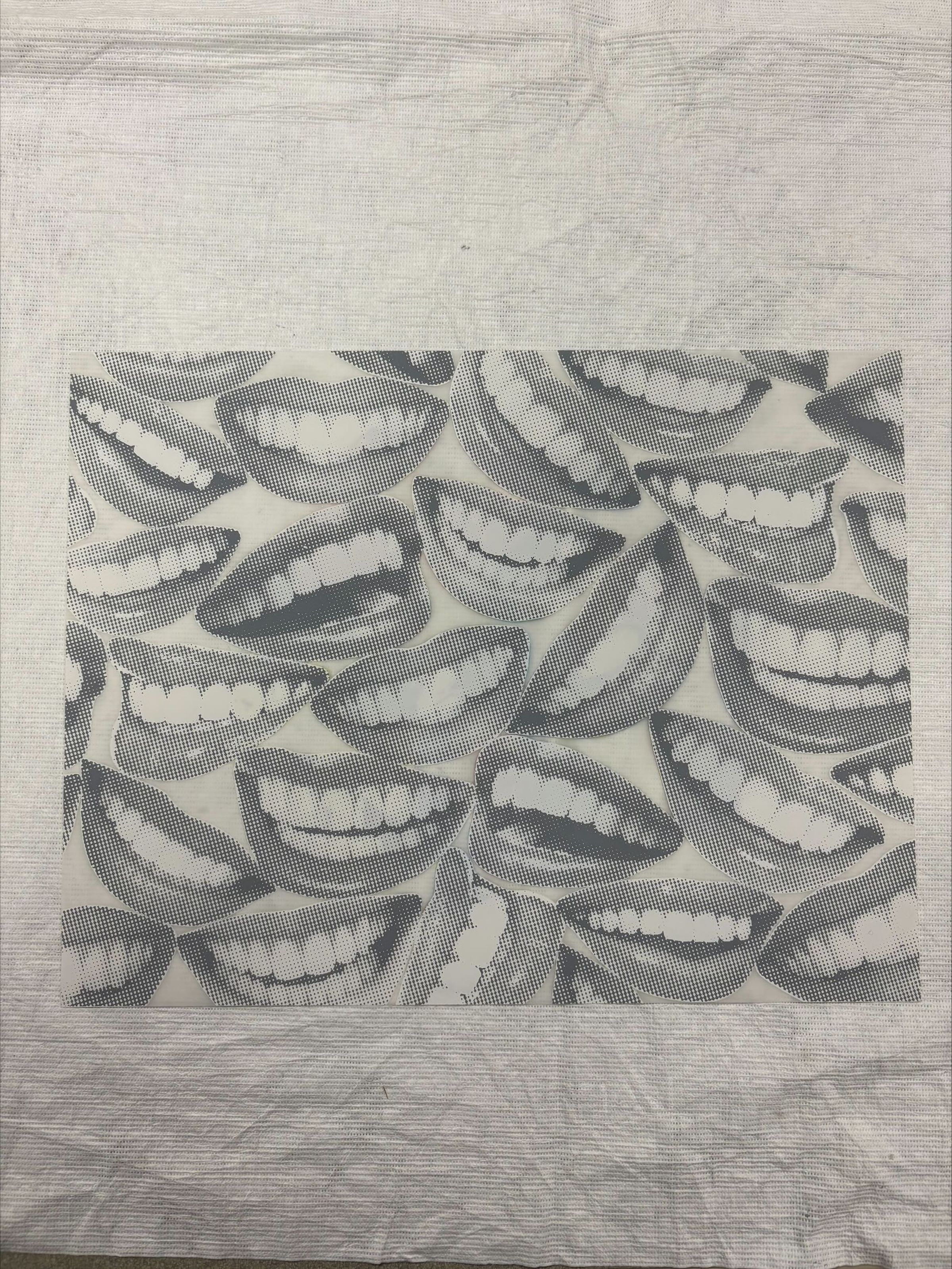 Front: A horizontal oriented, standard letter sized screen print that is double sided. The print depicts an amalgamation of smiles of grey and white on the front, with the back having a house like shape filled with colorful floral imagery.