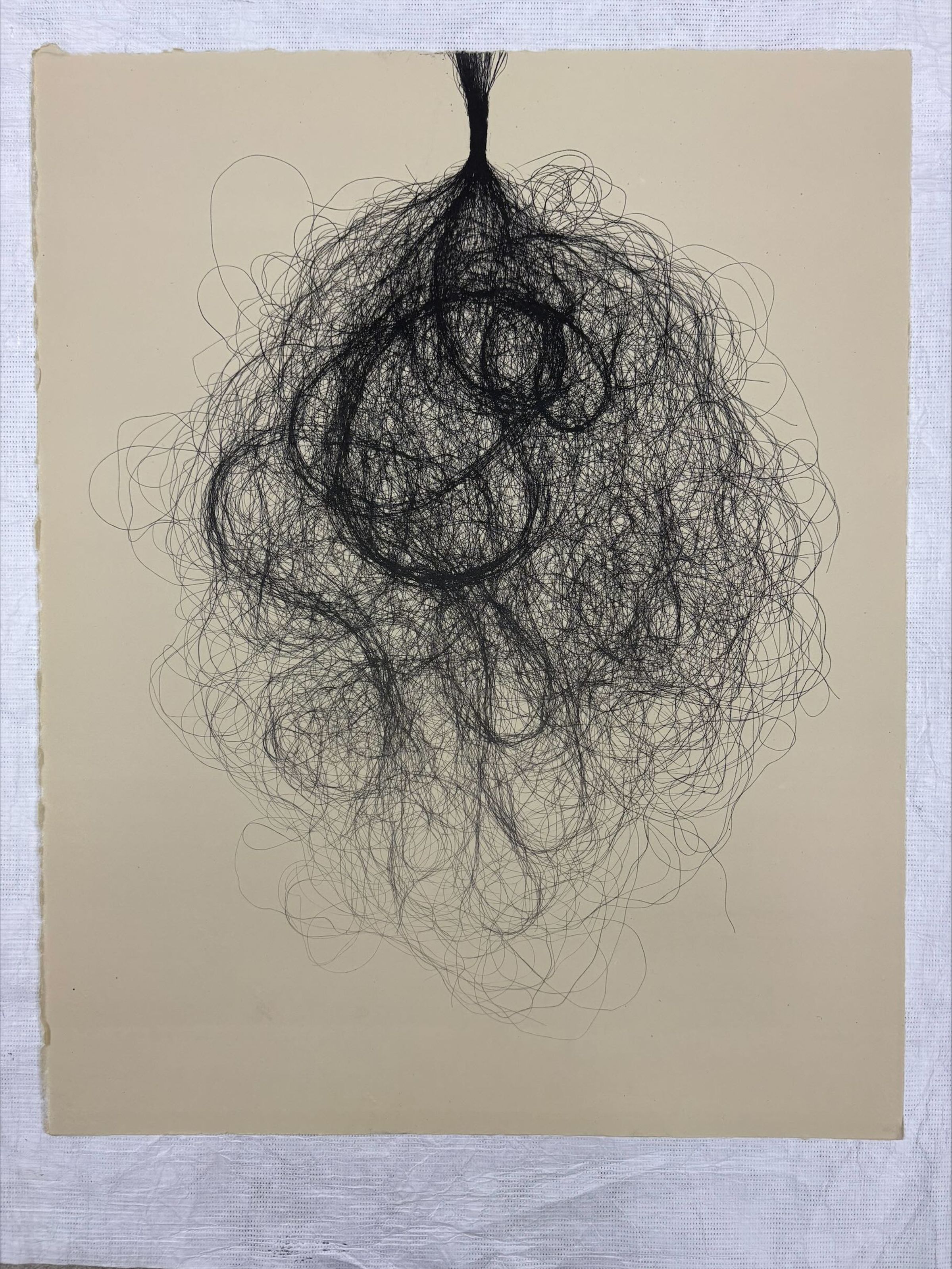 Front: A vertically oriented, medium sized print that utilizes black pigment on a cream colored ground. The print depicts a string like object that is bundled tightly towards the upper quadrant of the print with it starting to unfurl into loose hair like strands as it moves down the picture plane.