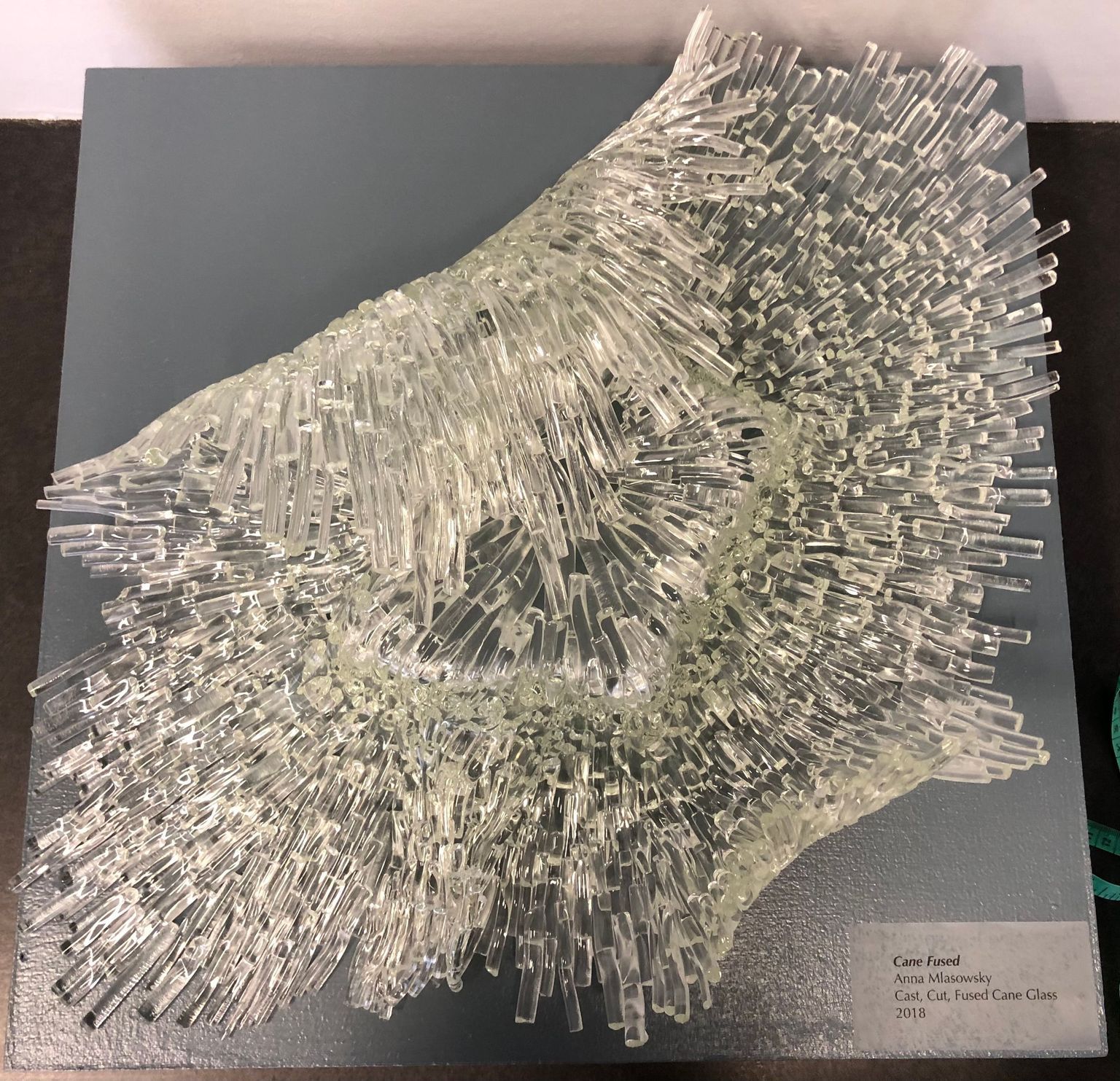 Visiting Artist Collection