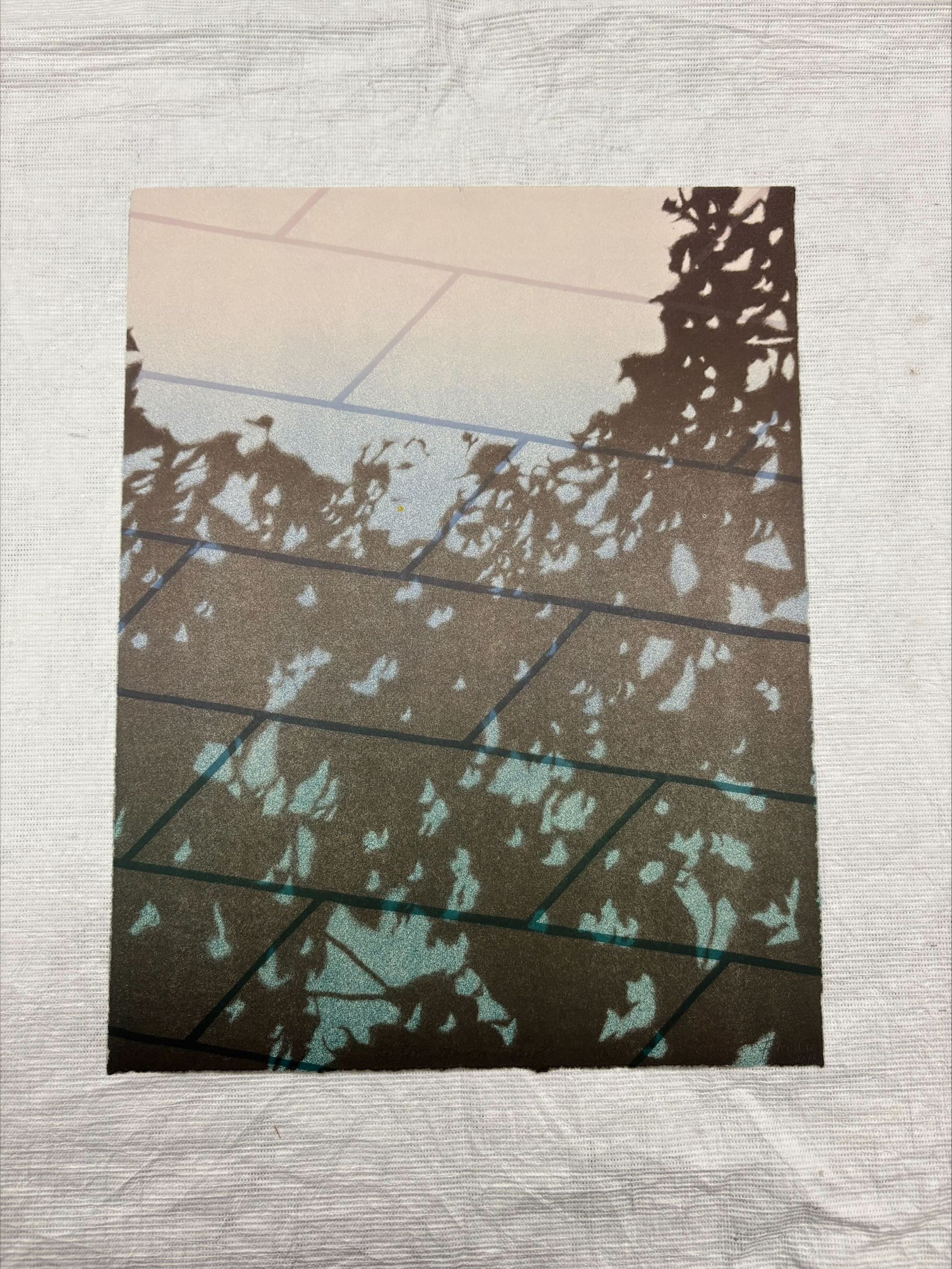 Front: A vertical doubled-sided lithographic print that is done on standard sized paper. The Print shows a shadow covered sidewalk like area on the front with geometric and foliage patterns surrounding an unknown room on the back.