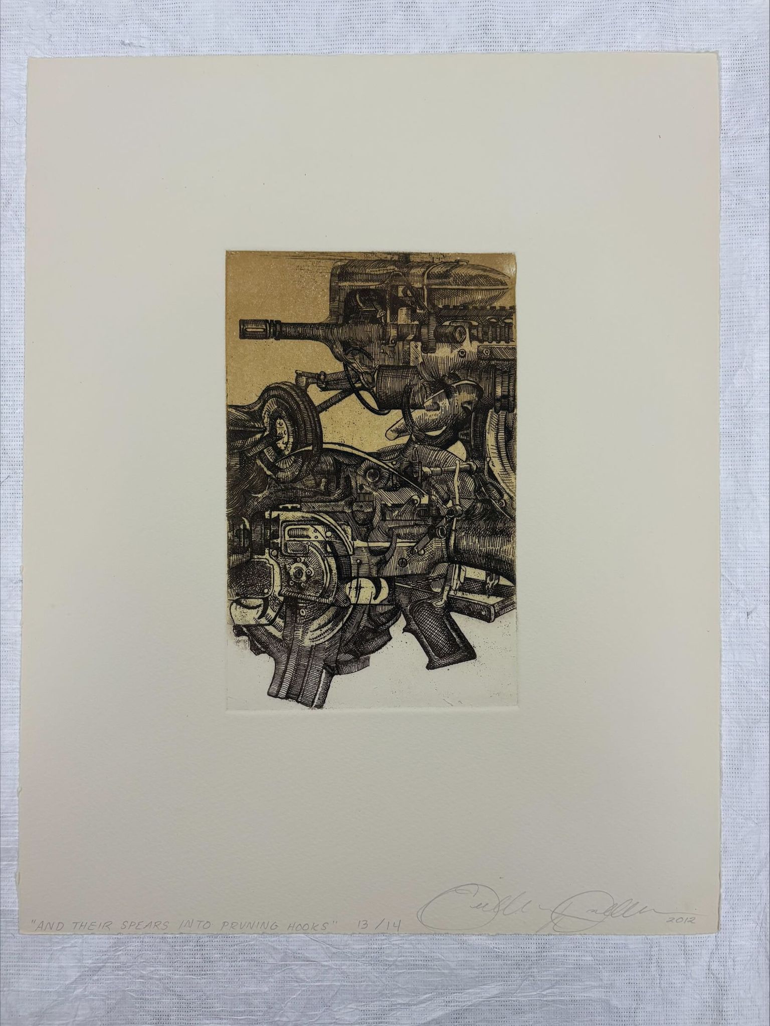 Palmeri-Goodstein Research Print Collection
